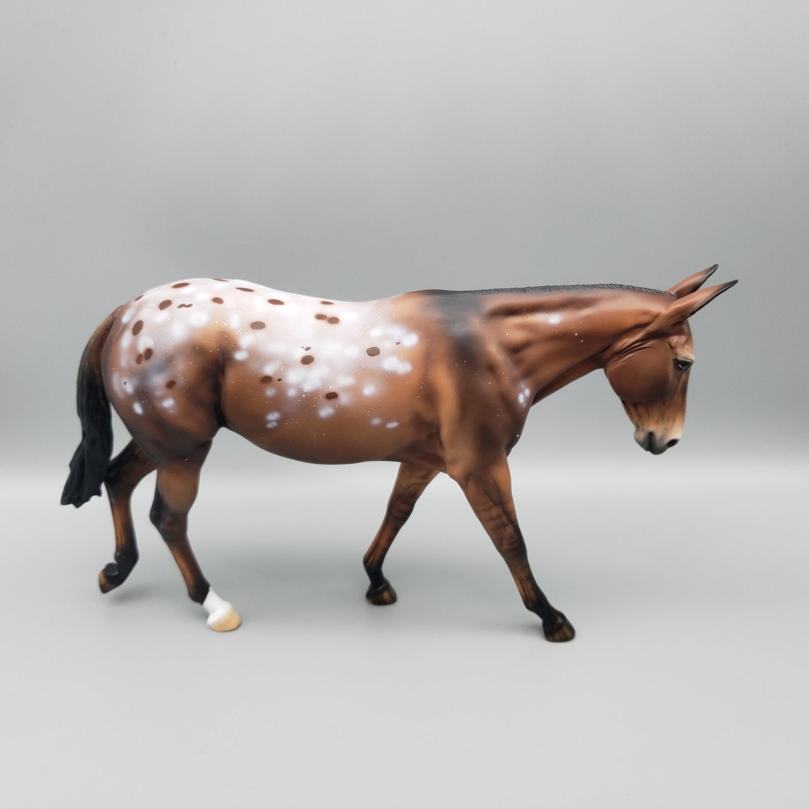 Rocky Road OOAK Appaloosa Mule By Ellen Robbins EQ23