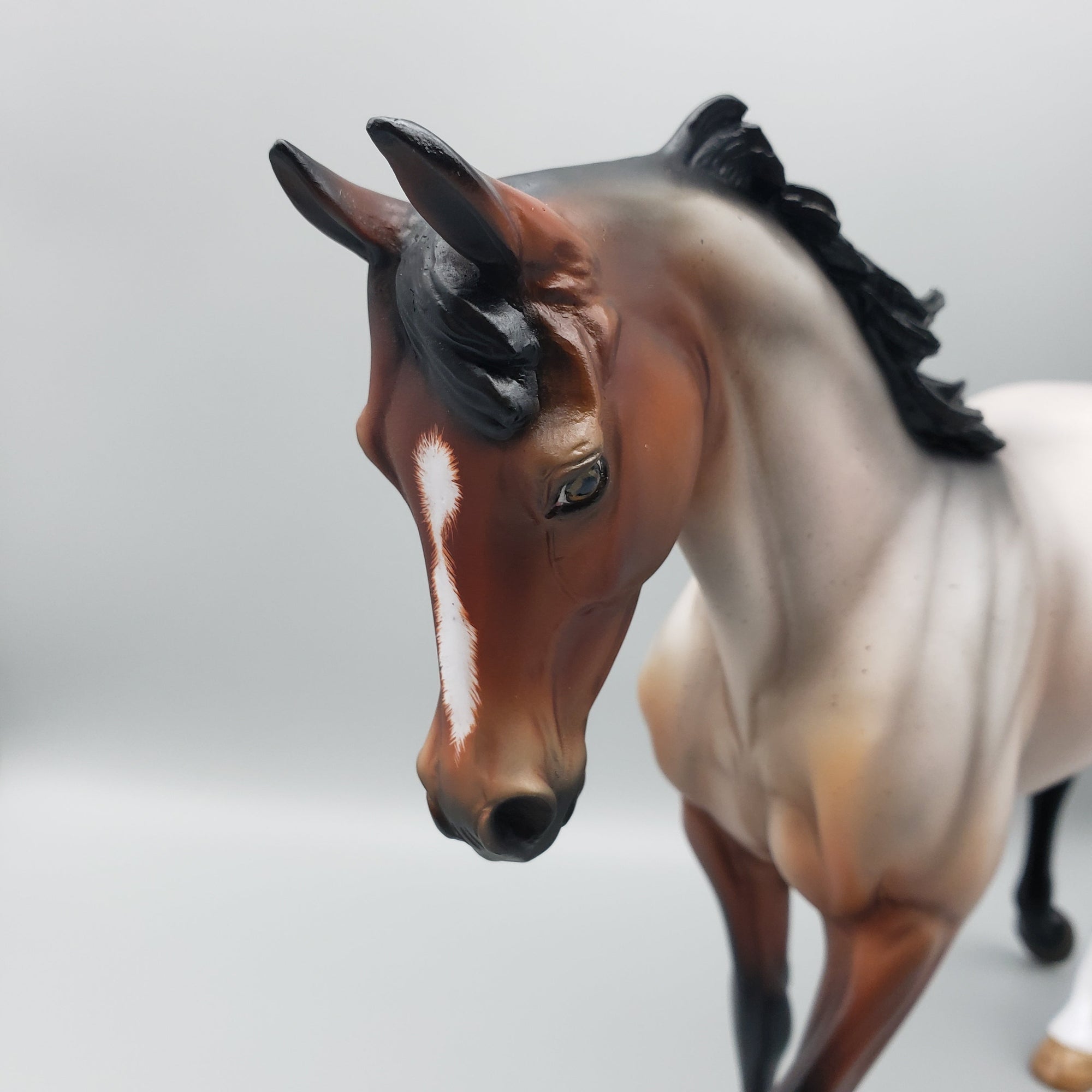 Grazer OOAK Bay Roan Thoroughbred By Angela Marleau EQ23