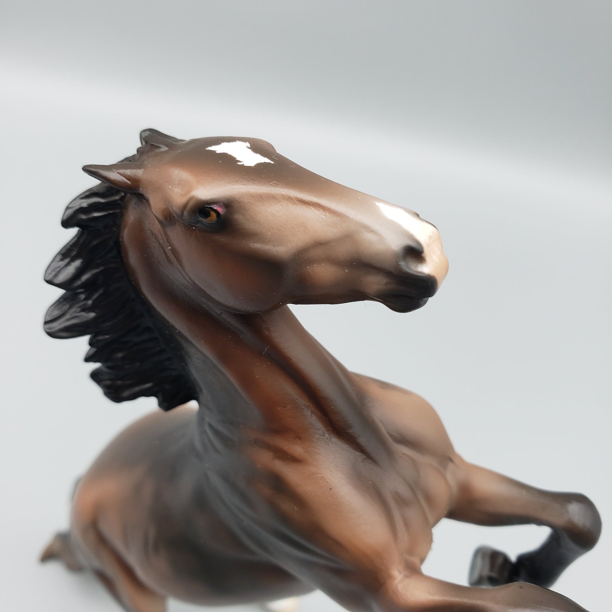 Pinto Bean OOAK Dappled Bay Rearing Pebble By Jess Hamill EQ23