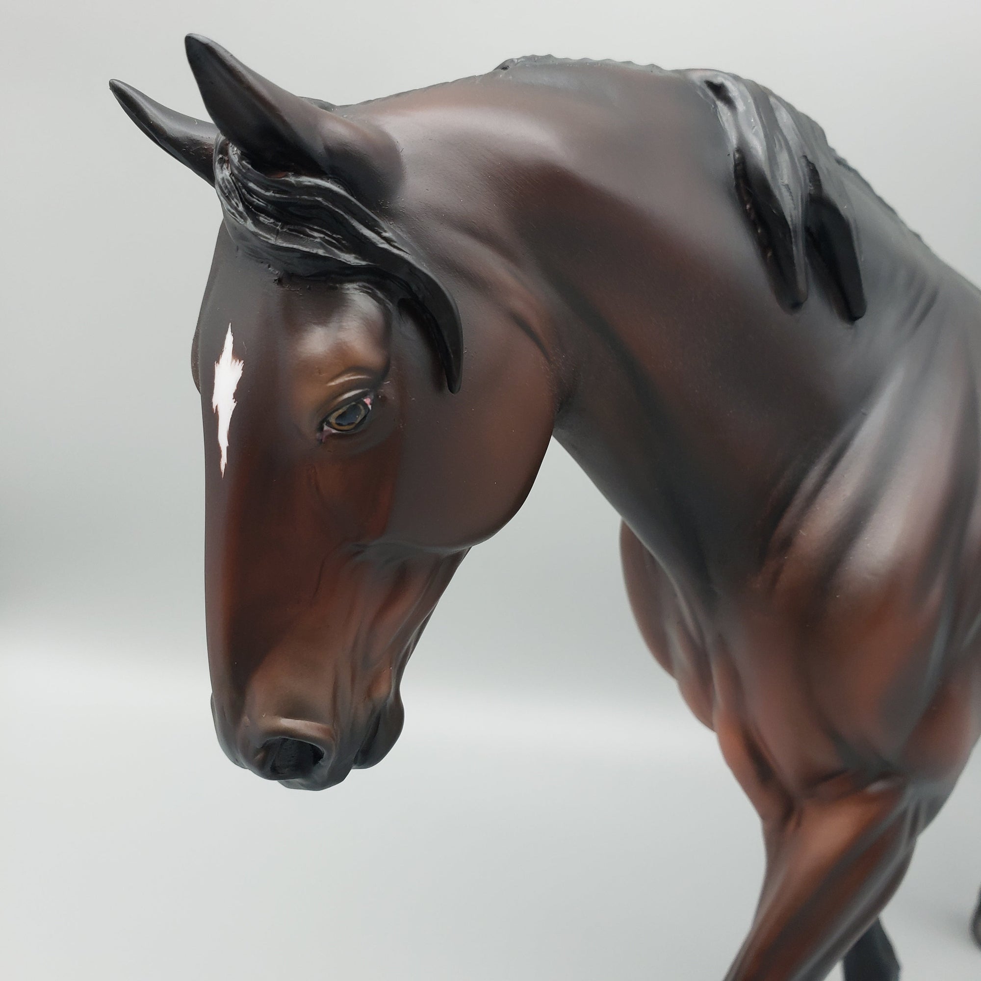 Capicorn OOAK Bay Irish Draught By Jess Hamill EQ23