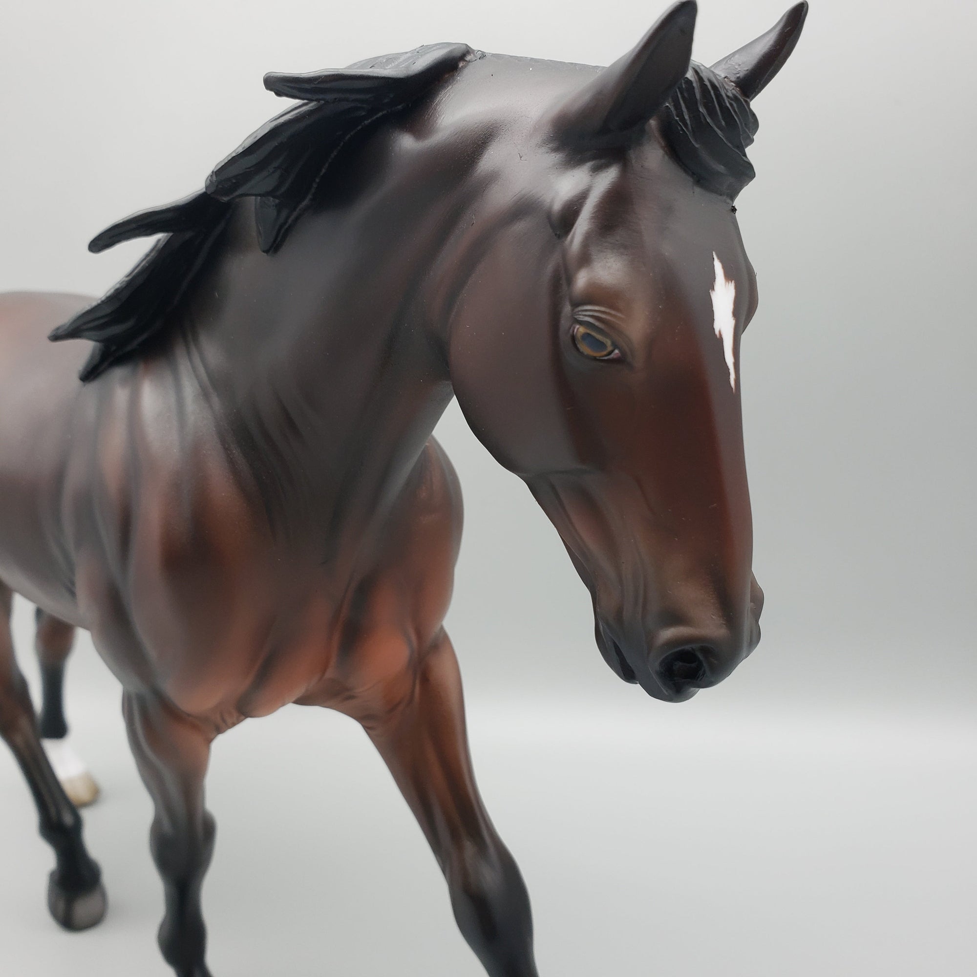 Capicorn OOAK Bay Irish Draught By Jess Hamill EQ23