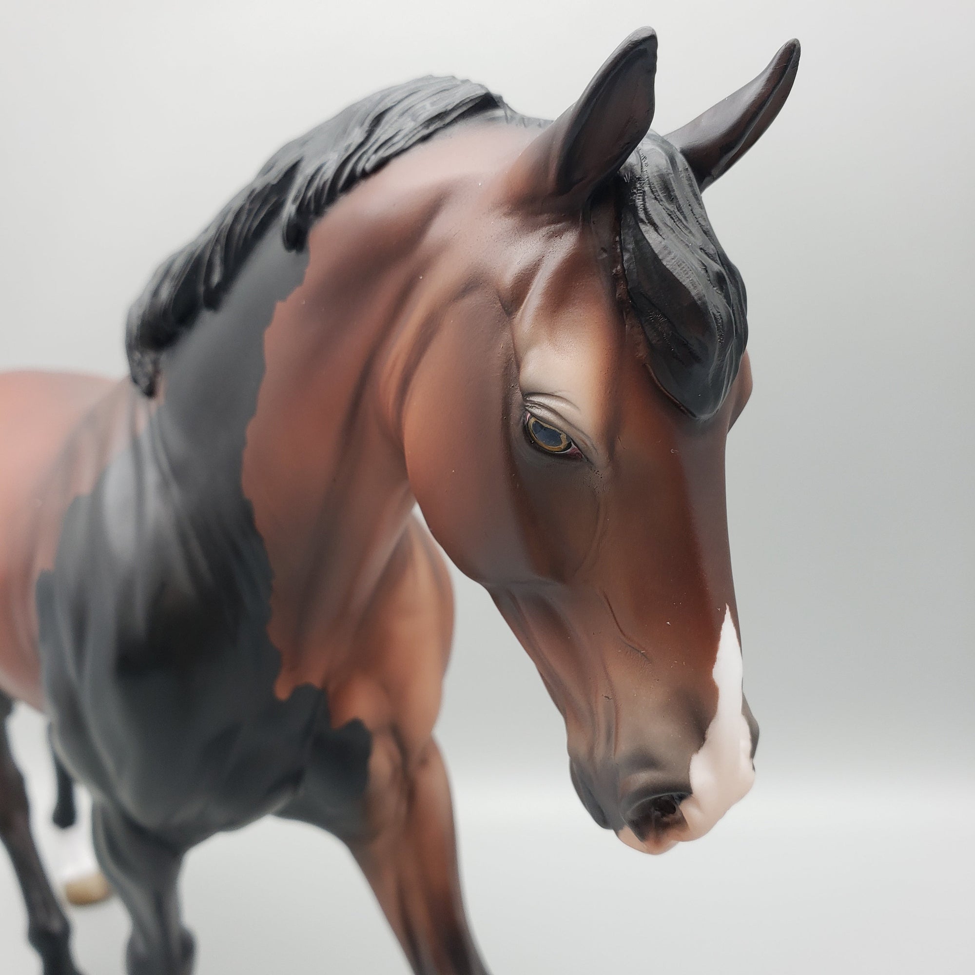 Nevermore OOAK Bay with Somatic Mutation Irish Draught By Jess Hamill EQ23