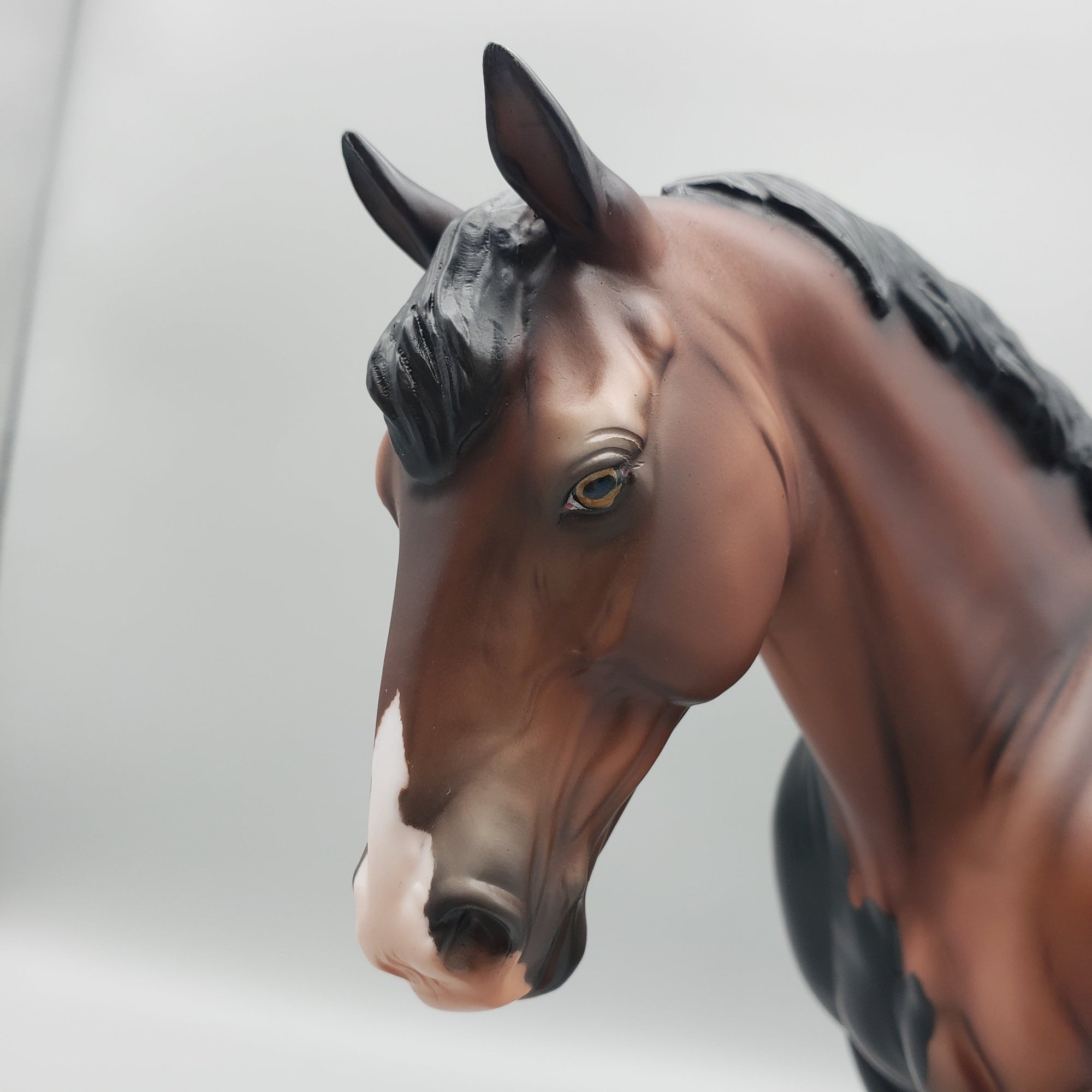 Nevermore OOAK Bay with Somatic Mutation Irish Draught By Jess Hamill EQ23