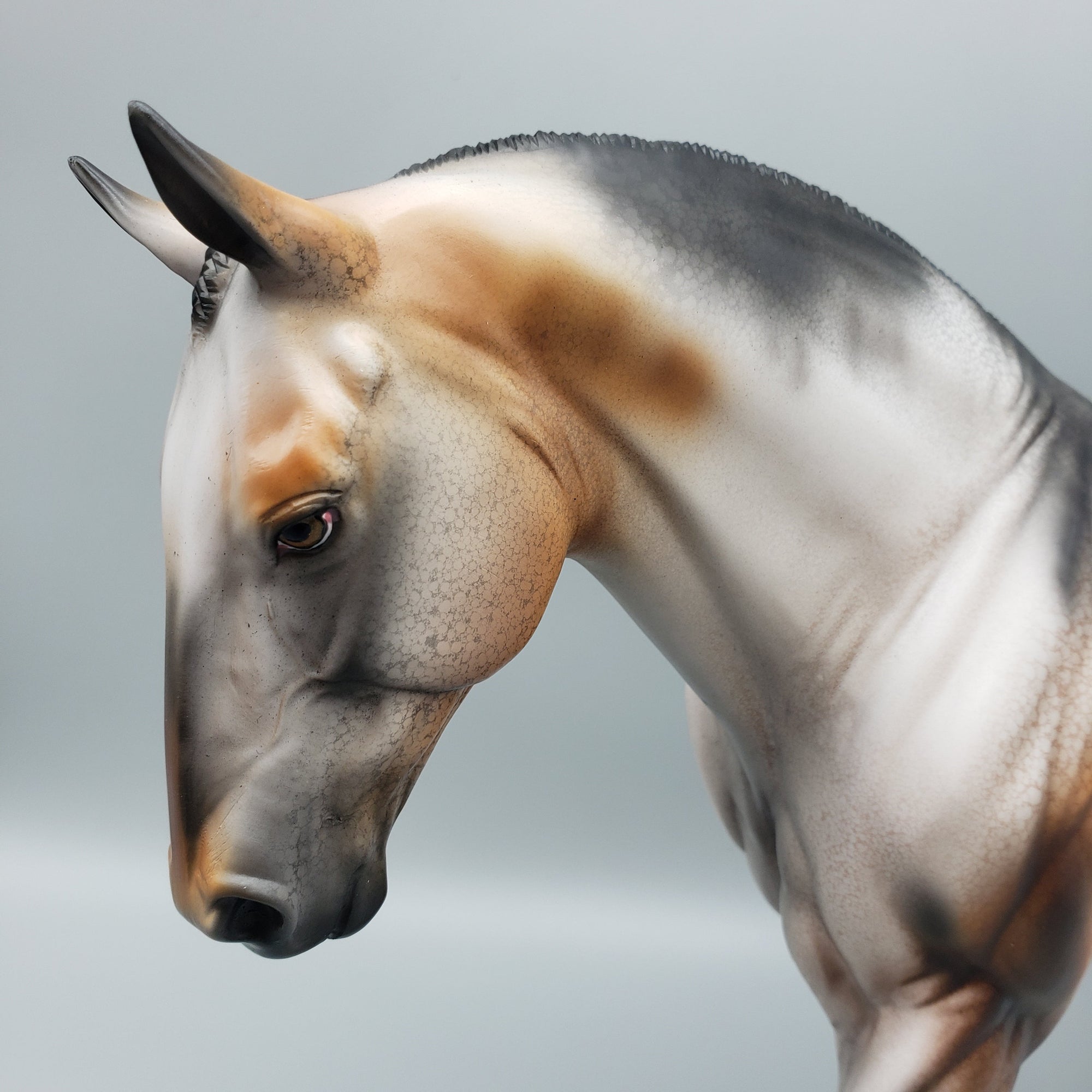 Cookie Crunch OOAK Appaloosa Irish Draft By Dawn Quick EQ23