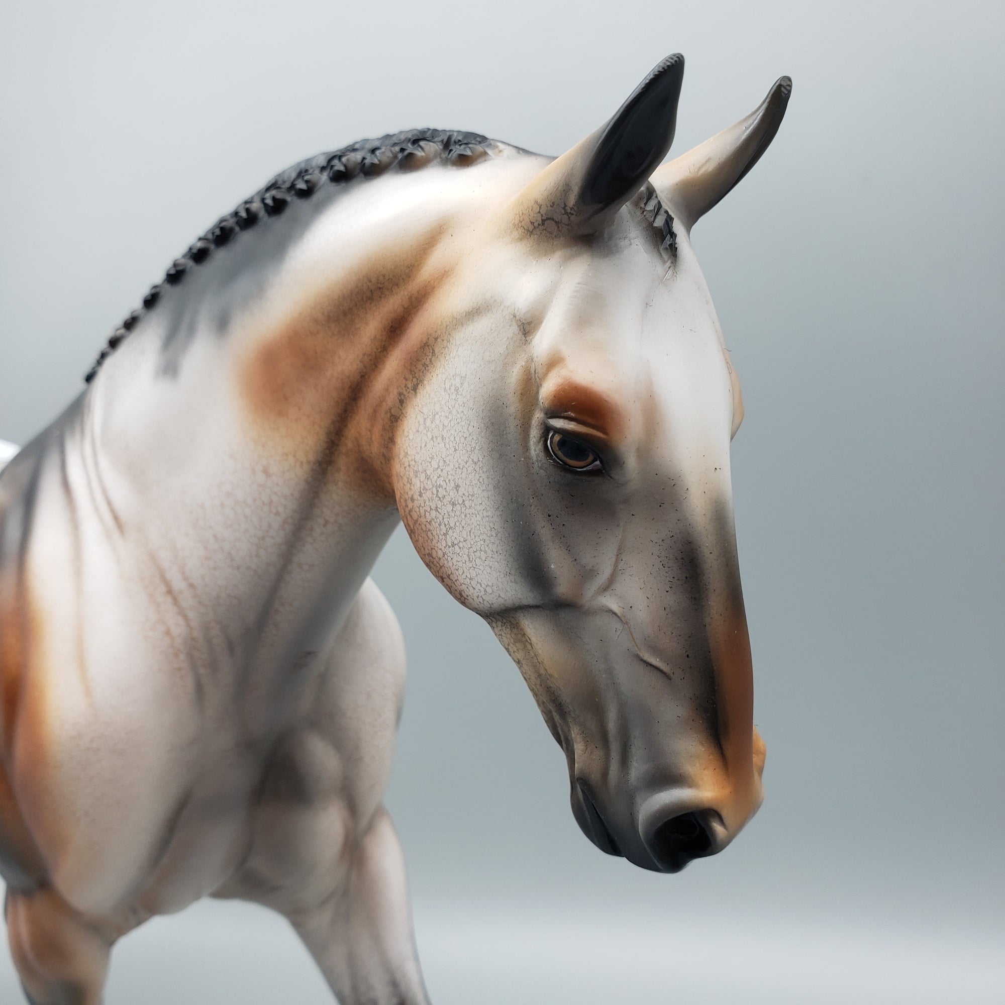 Cookie Crunch OOAK Appaloosa Irish Draft By Dawn Quick EQ23