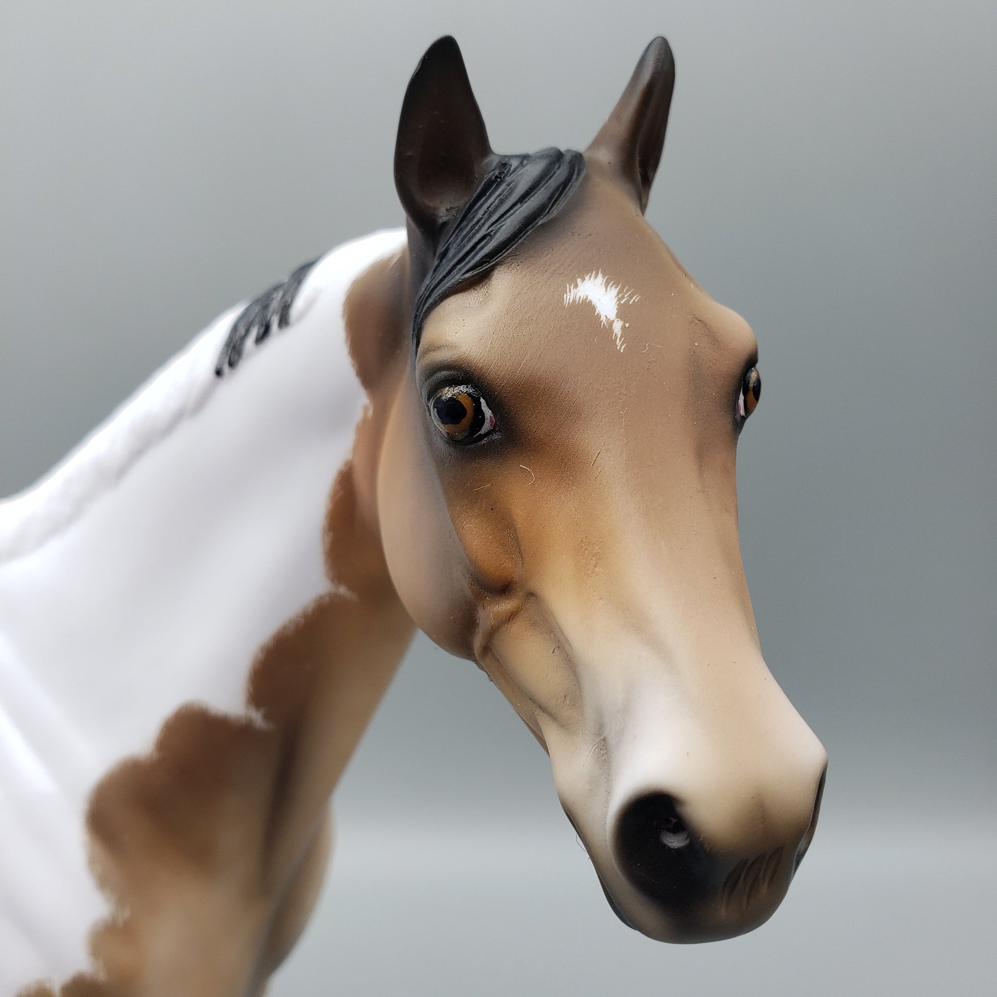 Dusty OOAK Bay Tobiano ISH By Julie Keim EQ23