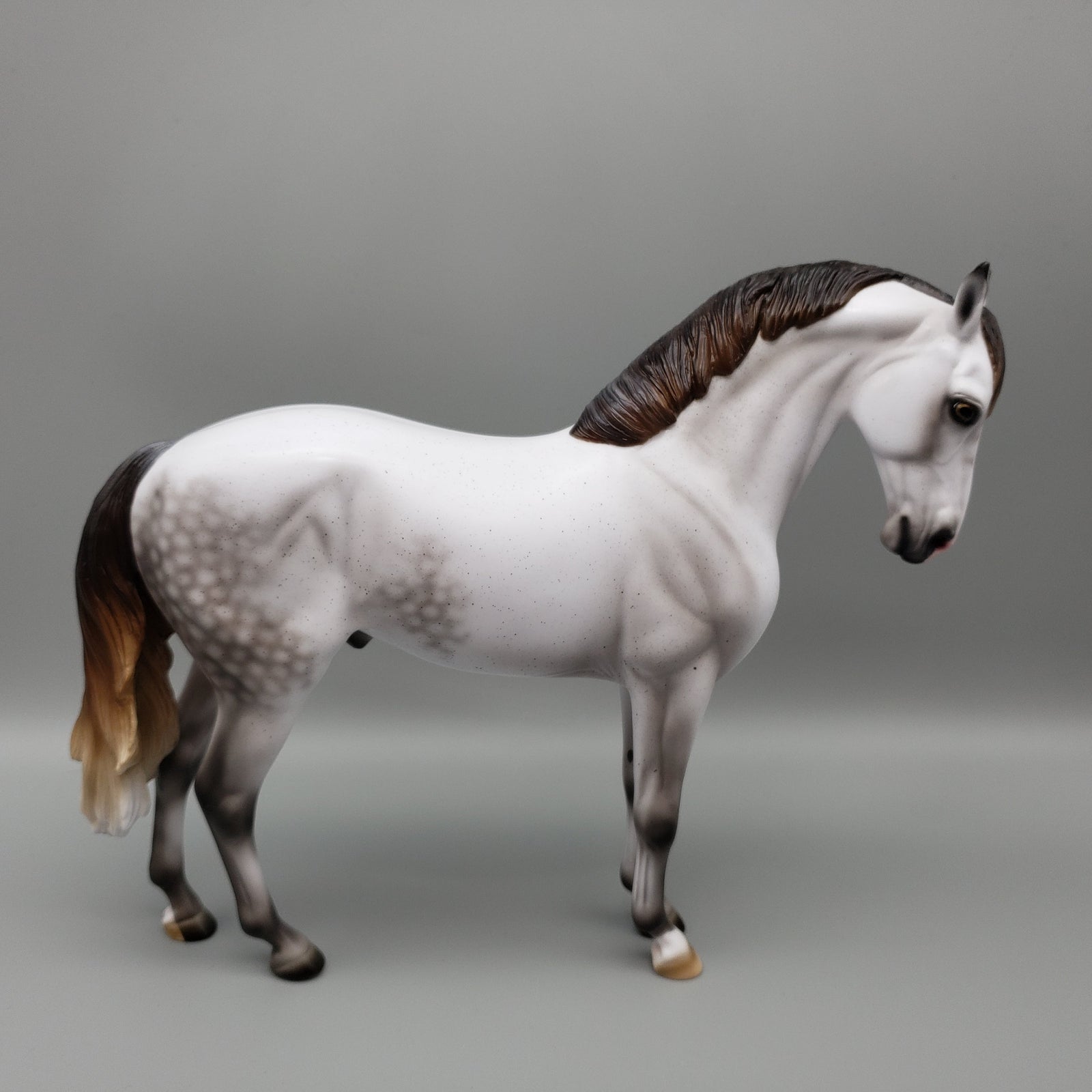 Plato OOAK Dappled Fleabitten Grey Andalusian by Ashley Palmer EQ23