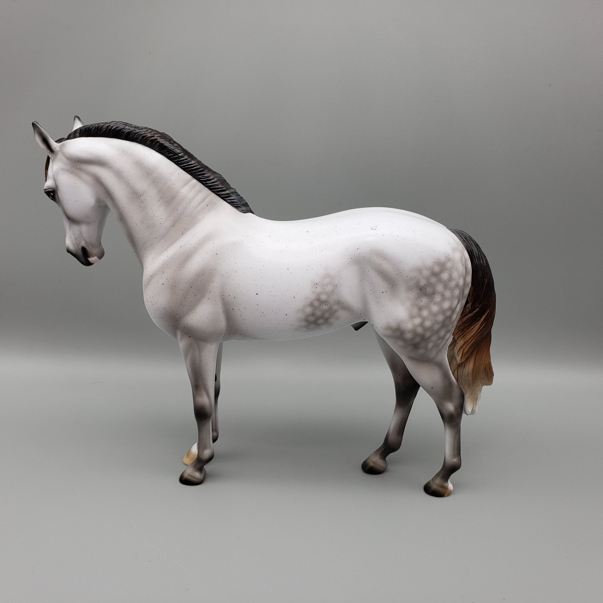 Plato OOAK Dappled Fleabitten Grey Andalusian by Ashley Palmer EQ23