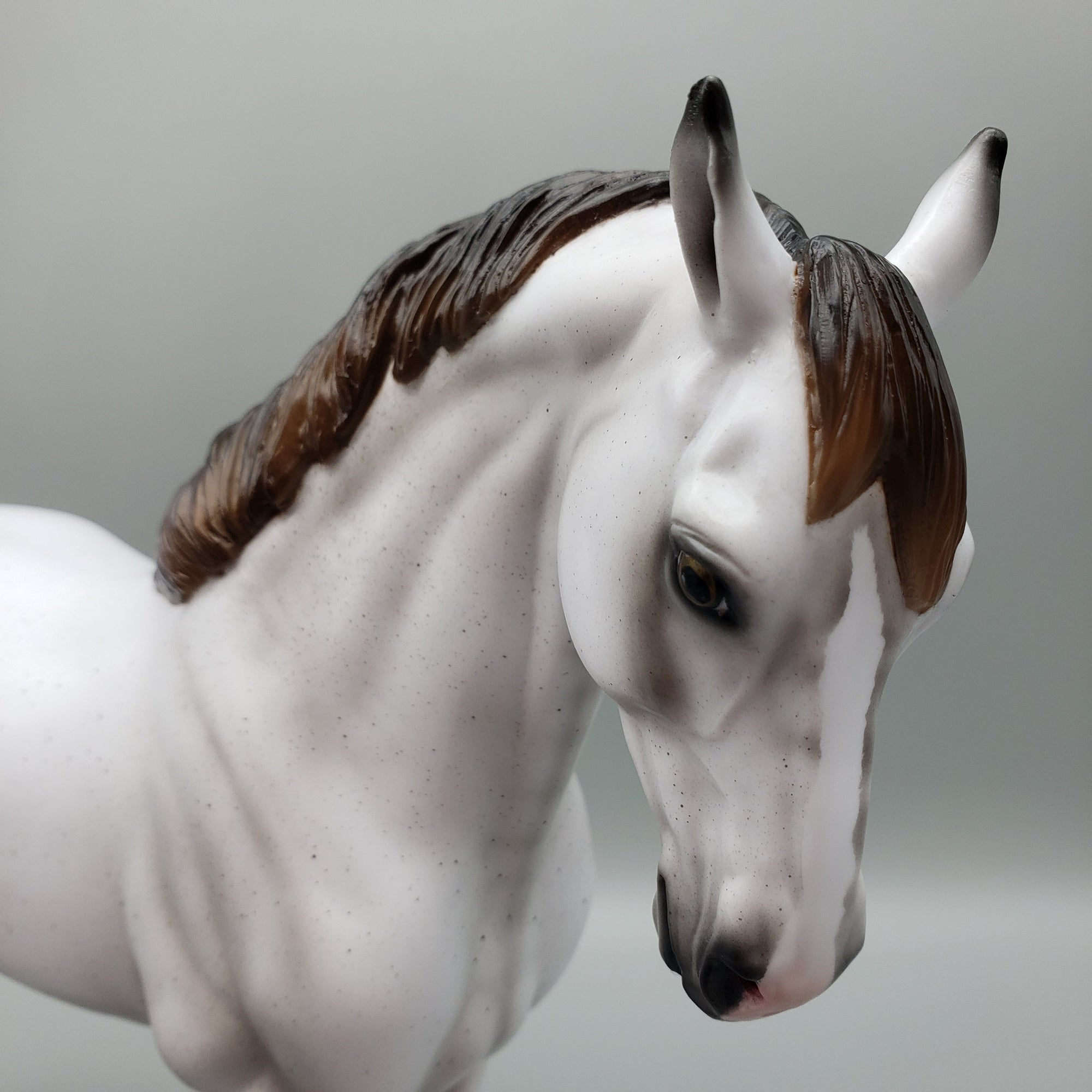 Plato OOAK Dappled Fleabitten Grey Andalusian by Ashley Palmer EQ23