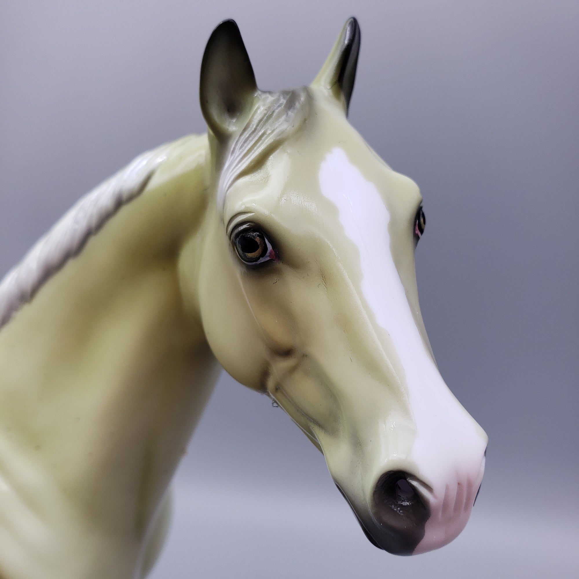 Chrysohpnum- Deco Custom ISH By Ellen Robbins EQ23