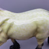 Schistostega OOAK Deco Cob By Ellen Robbins EQ23