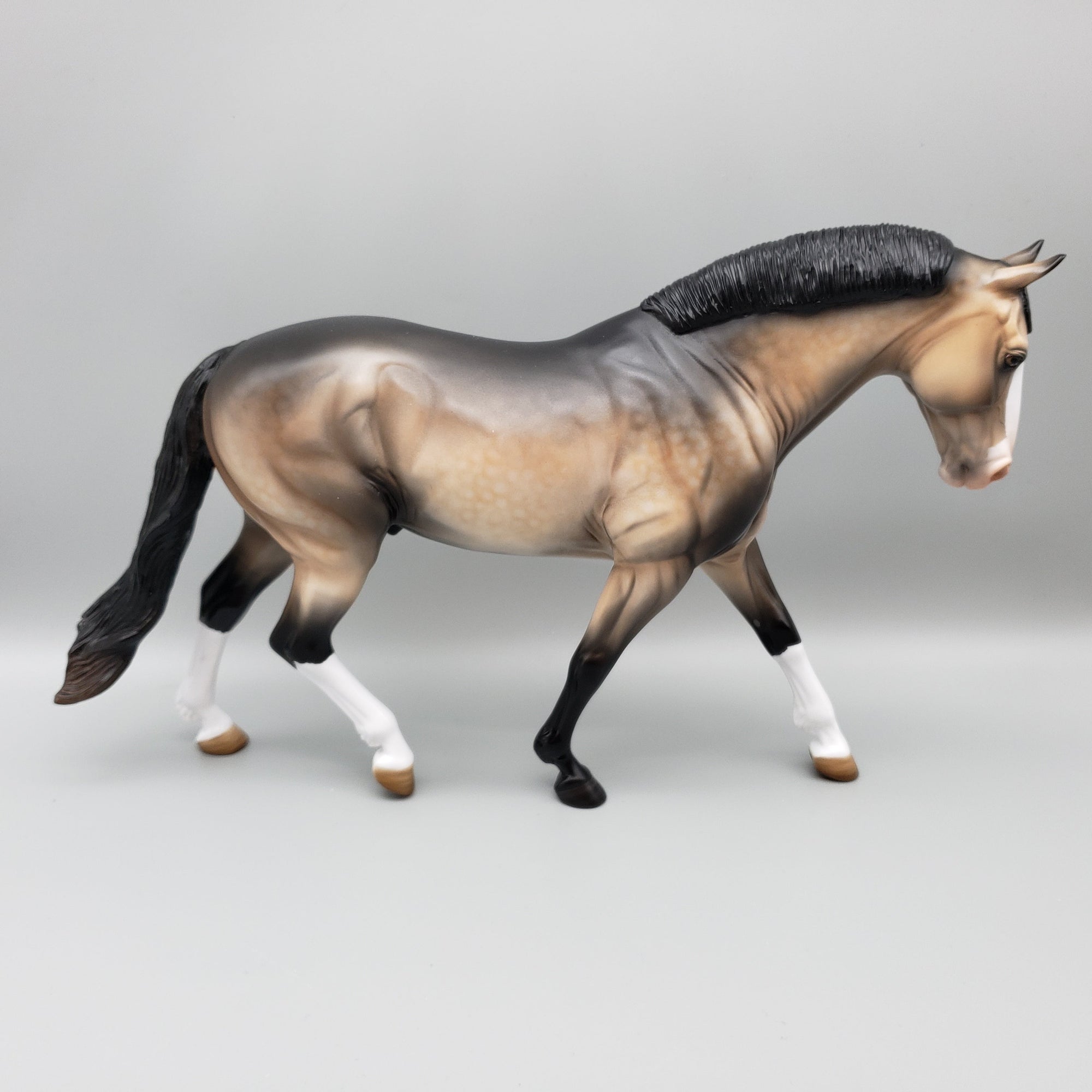 Martin OOAK Sooty Buckskin Irish Draught By Angela Marleau EQ23