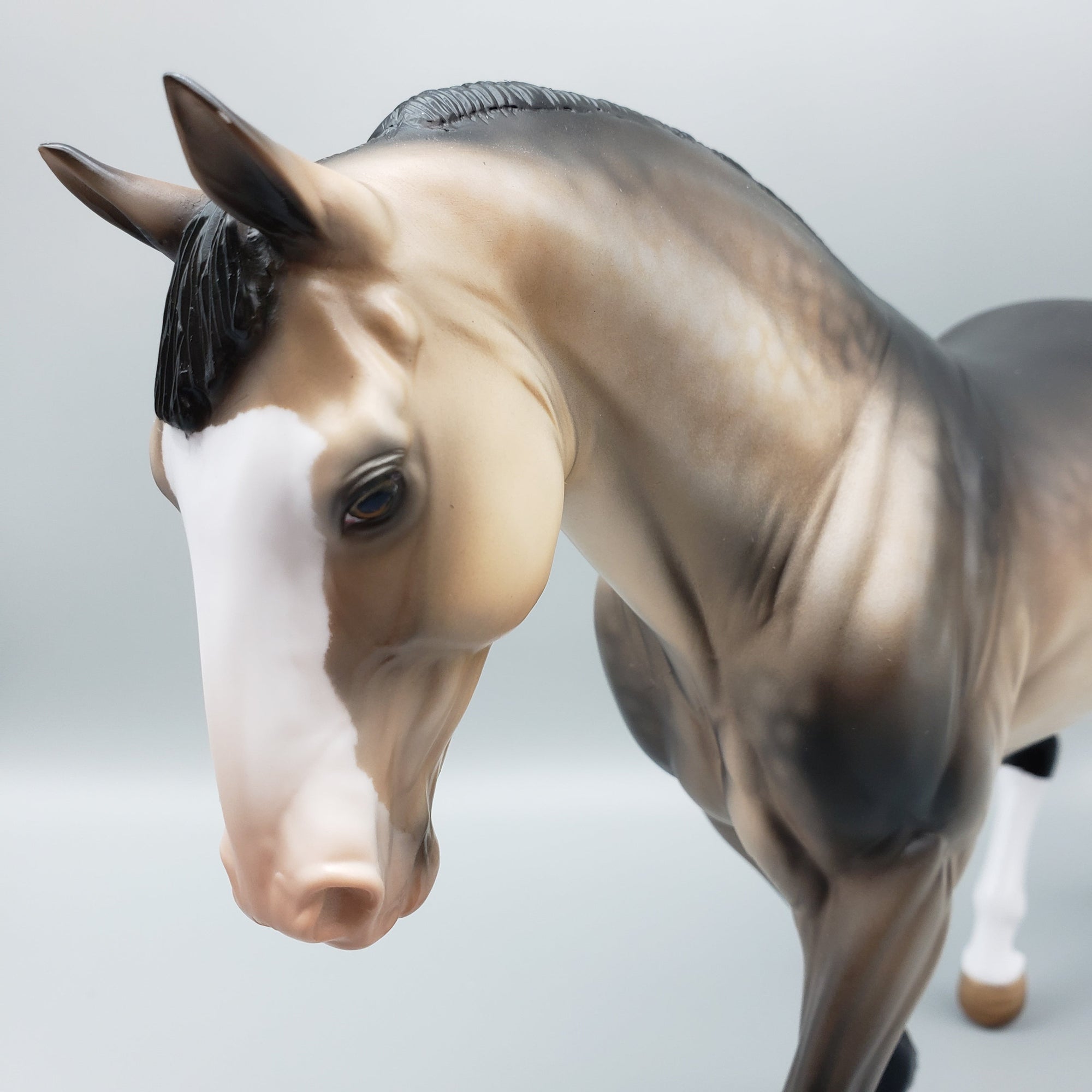 Martin OOAK Sooty Buckskin Irish Draught By Angela Marleau EQ23