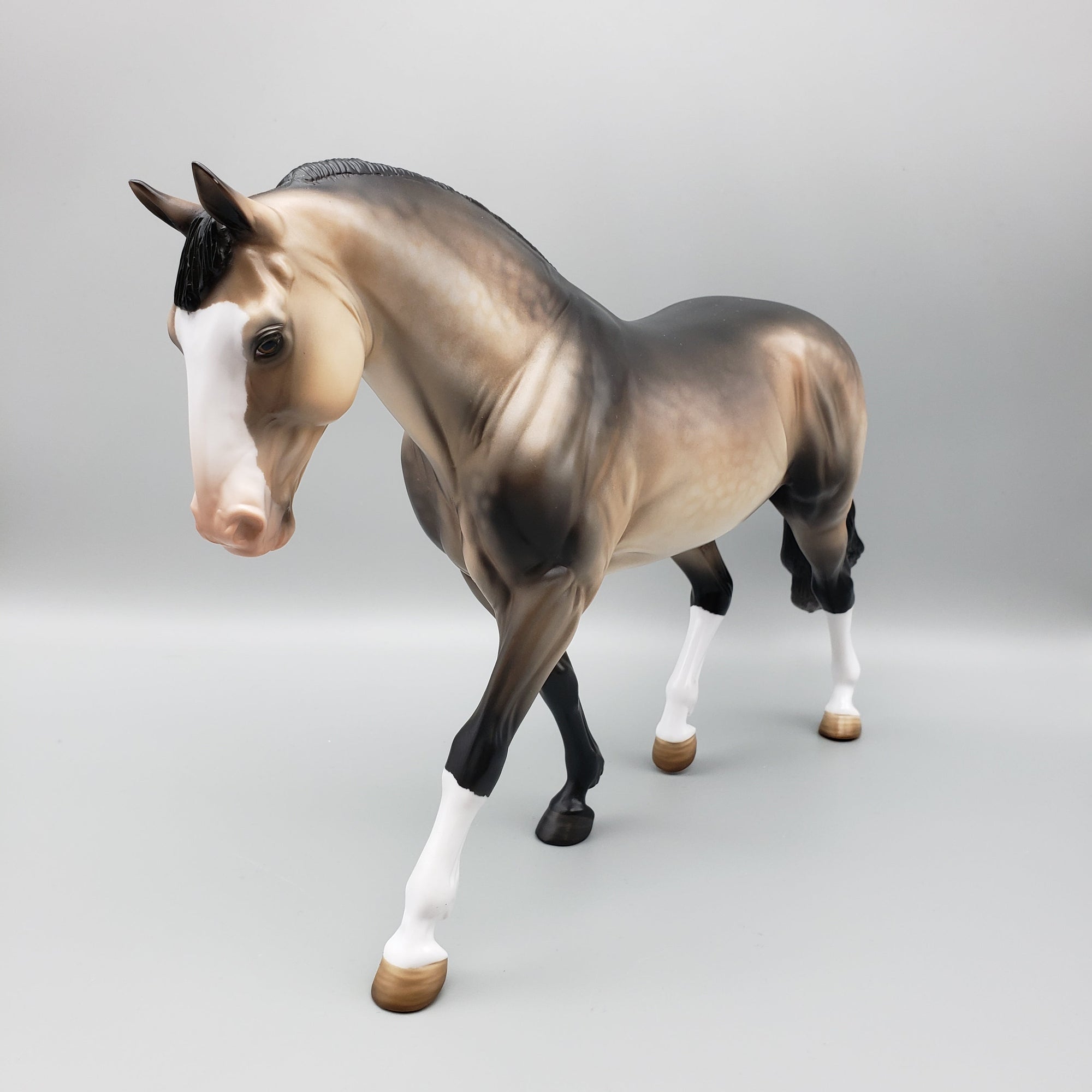 Martin OOAK Sooty Buckskin Irish Draught By Angela Marleau EQ23