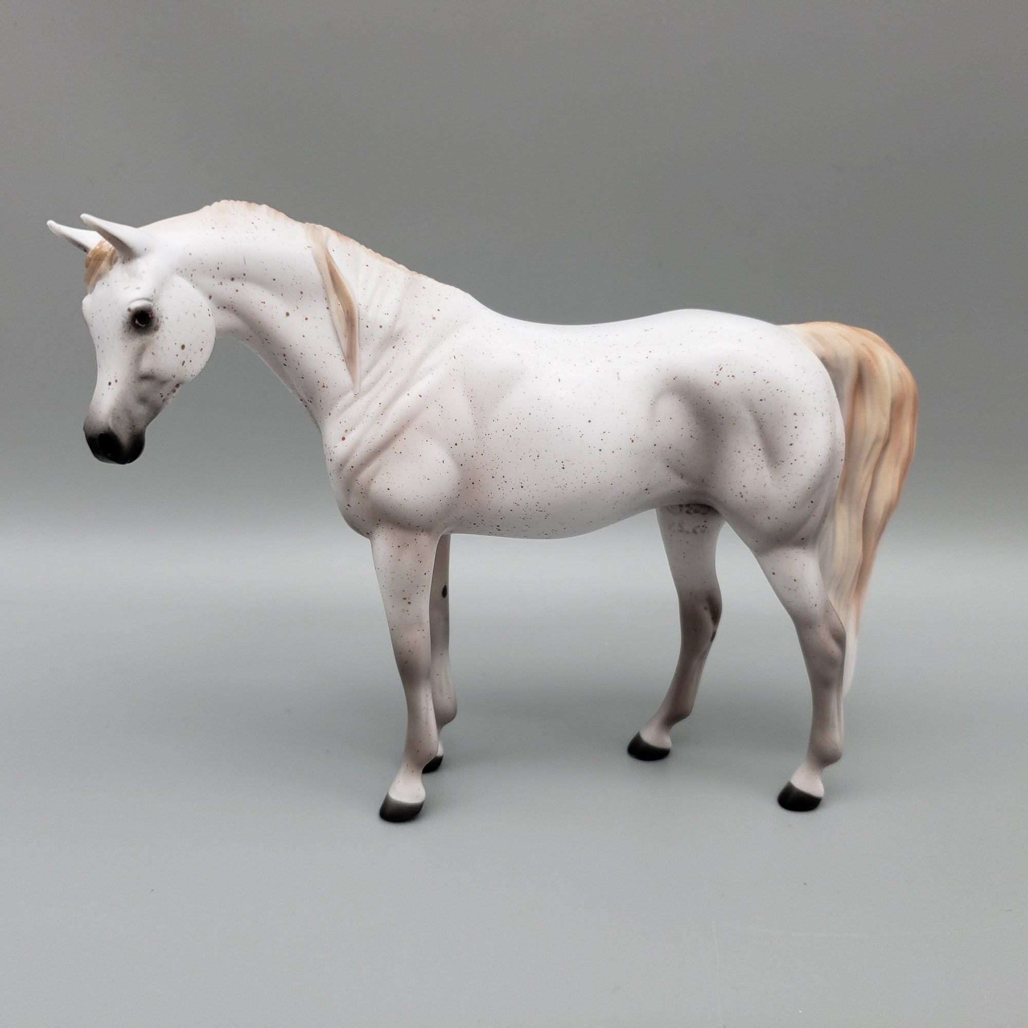 Shannon OOAK Fleabitten Grey Arabian Pebble By Ellen Robbins EQ23