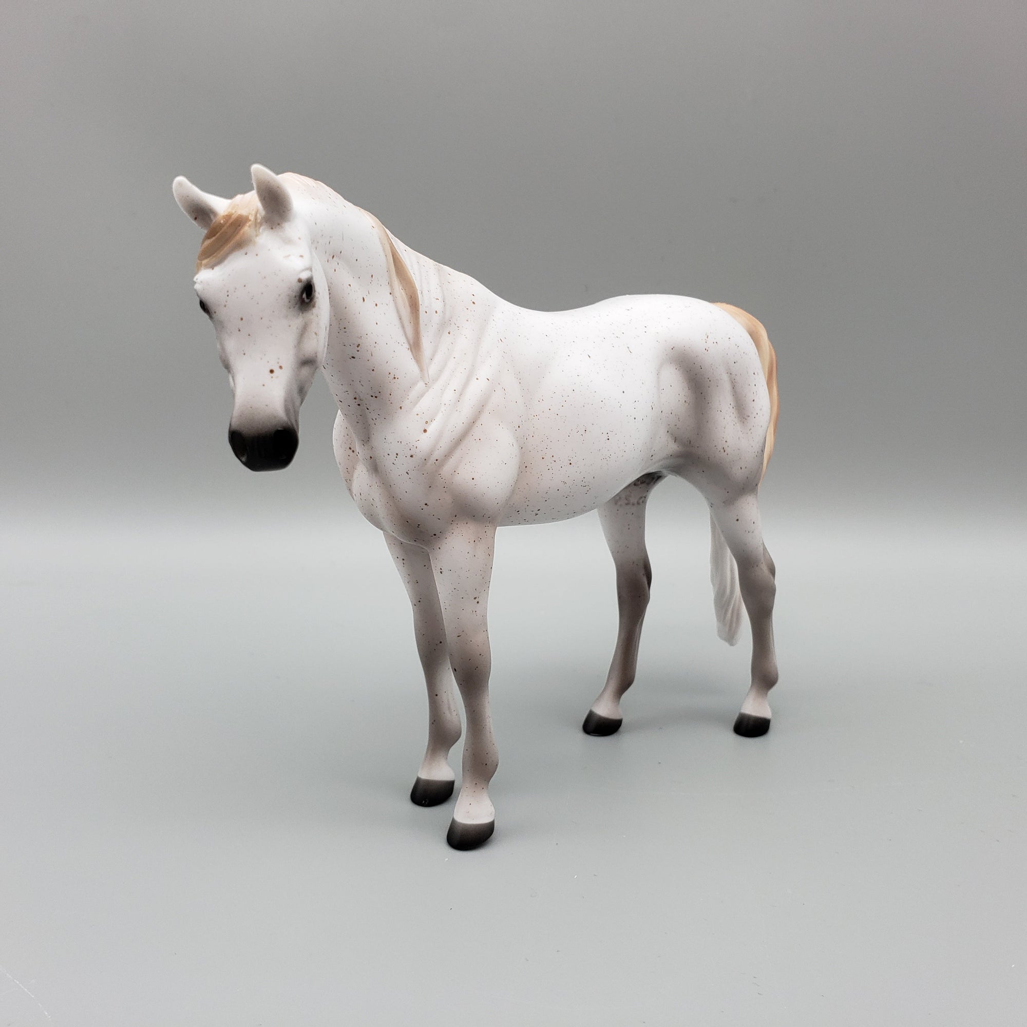 Shannon OOAK Fleabitten Grey Arabian Pebble By Ellen Robbins EQ23