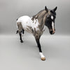 Charles OOAK Grullo Appaloosa Running Stock Horse By Angela Marleau Best Offers 6/26/23
