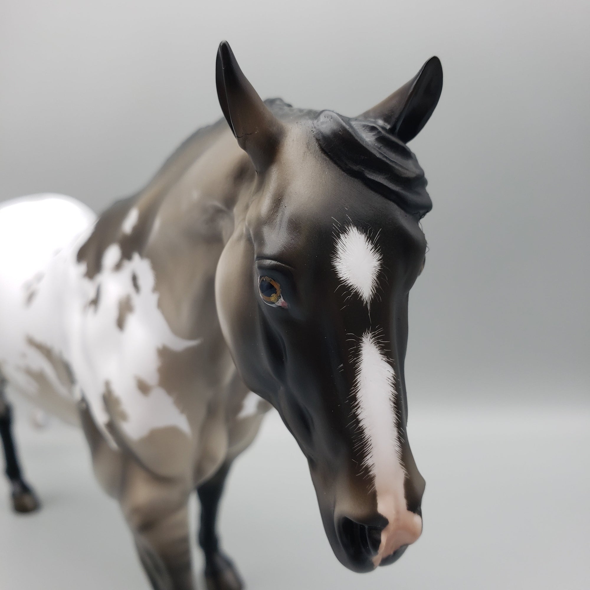 Charles OOAK Grullo Appaloosa Running Stock Horse By Angela Marleau Best Offers 6/26/23