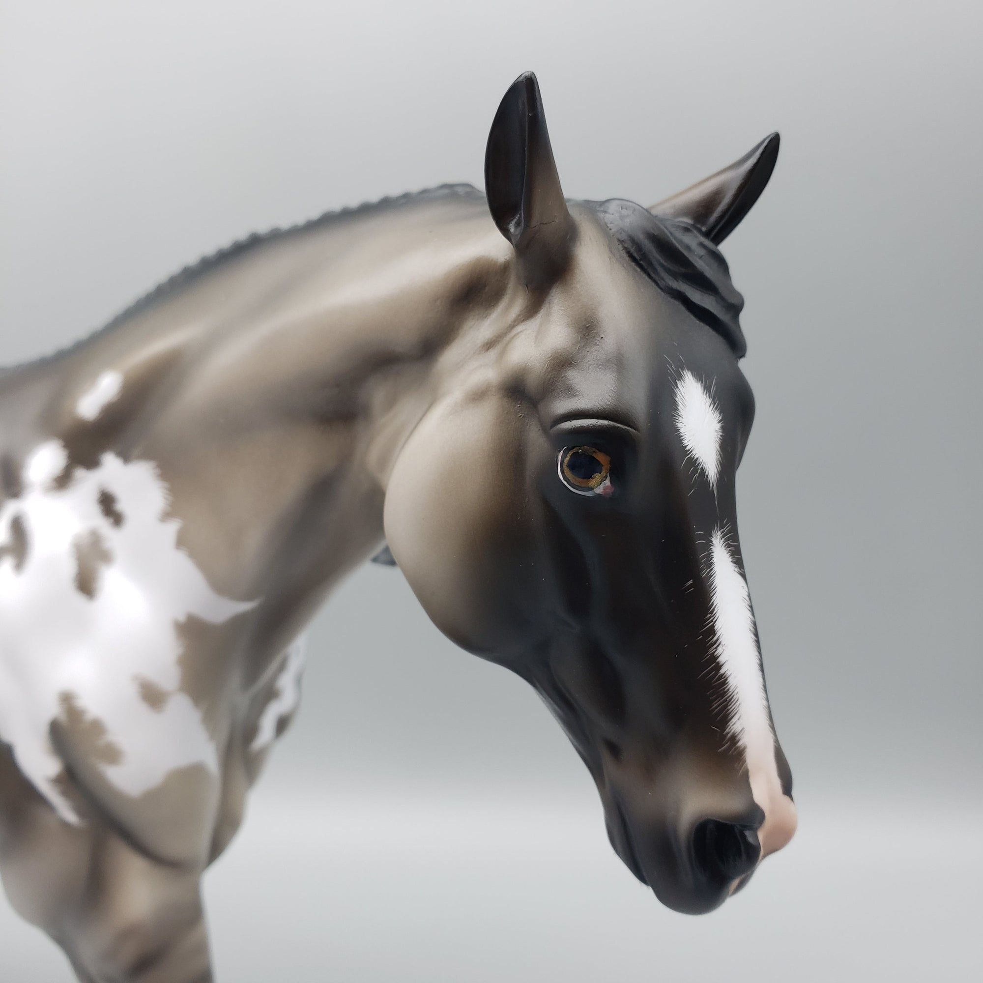 Charles OOAK Grullo Appaloosa Running Stock Horse By Angela Marleau Best Offers 6/26/23