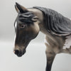 Charles OOAK Grullo Appaloosa Running Stock Horse By Angela Marleau Best Offers 6/26/23