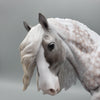 Alban Heruin OOAK Silver Dappled Tobiano Cob By Ellen Robbins Best Offers 6/26/23