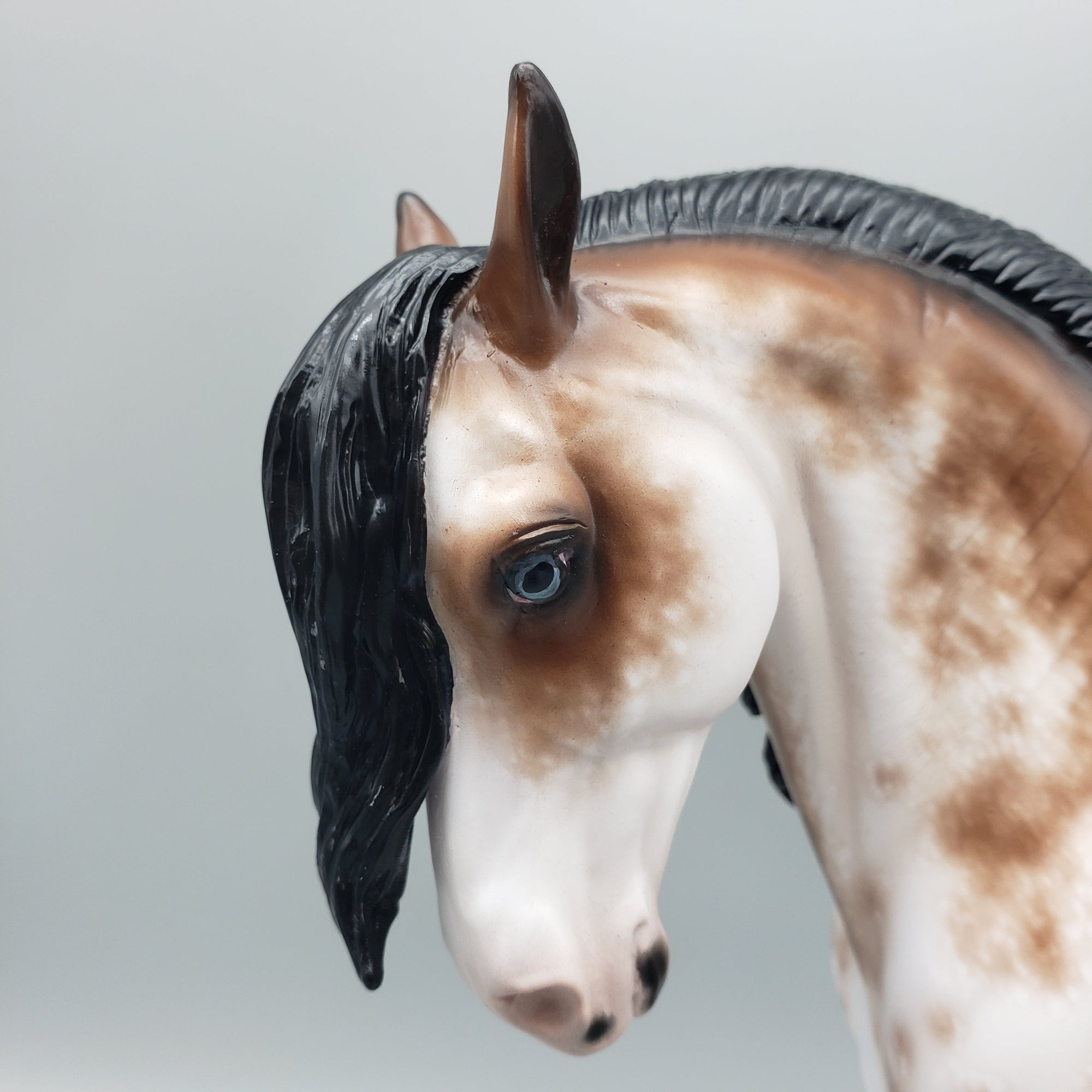 Loudon OOAK Bay Sabino Andalusian By Sheryl Leisure Best Offers 6/26/23