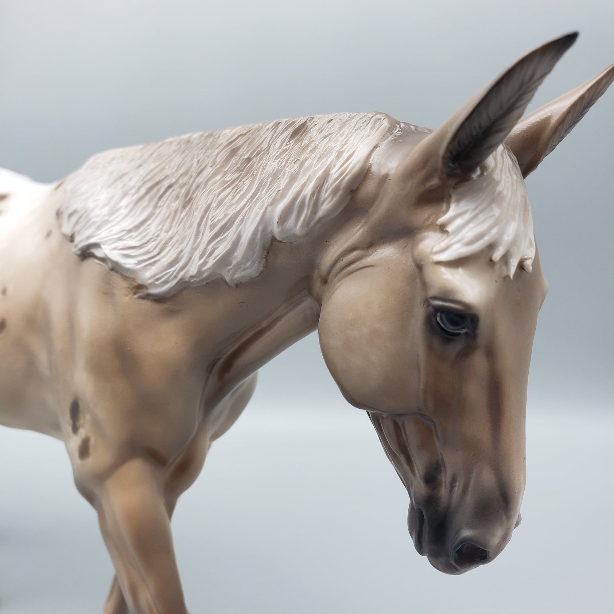 Narian OOAK Chestnut Appaloosa Mule By Sheryl Leisure Best Offers 6/26/23