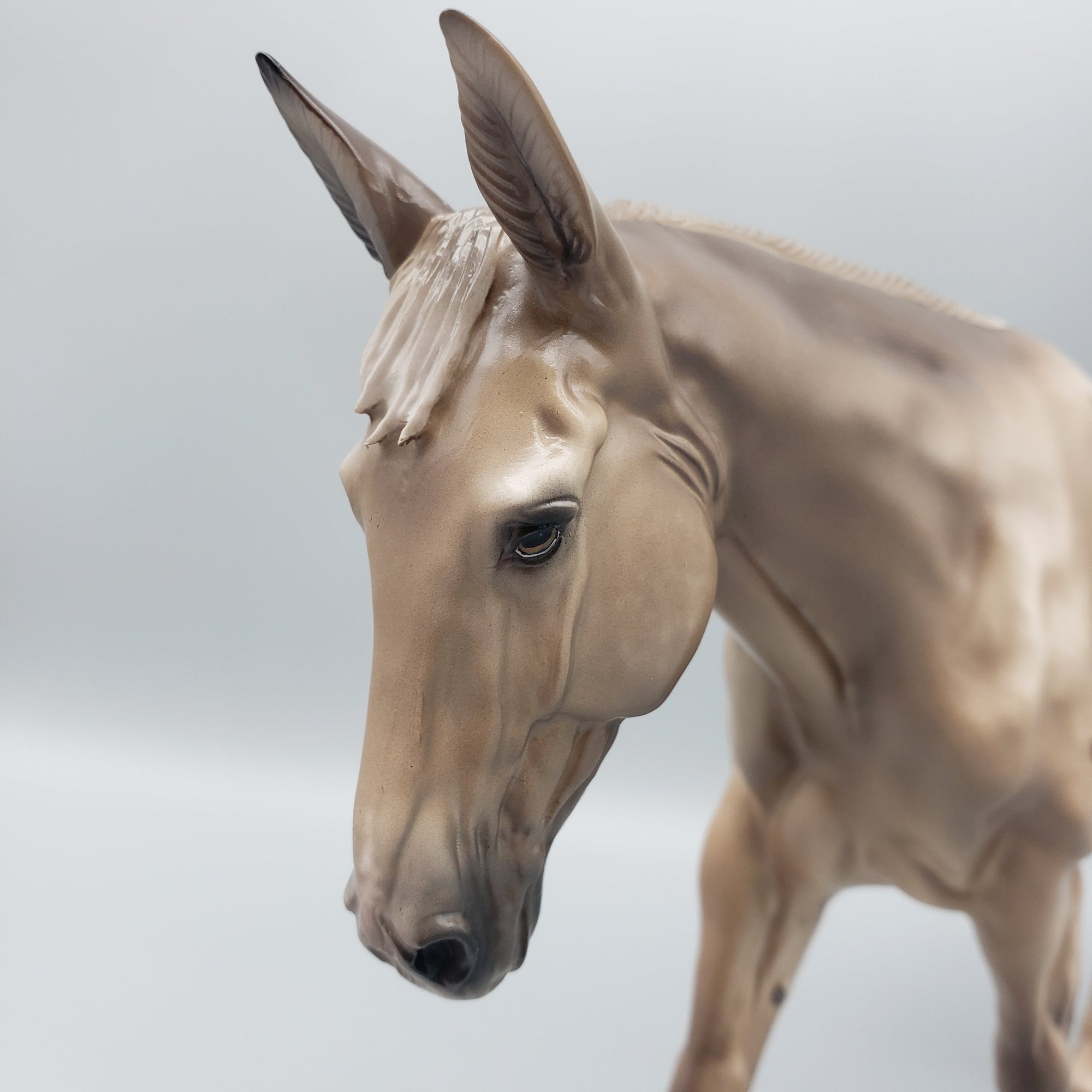 Narian OOAK Chestnut Appaloosa Mule By Sheryl Leisure Best Offers 6/26/23