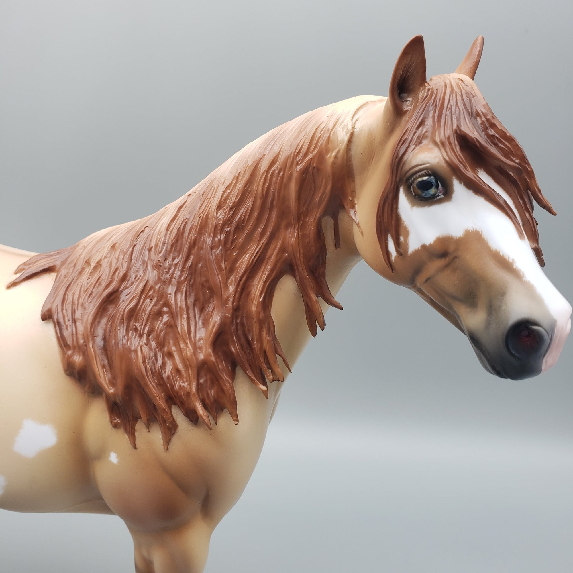 Can Do Carson OOAK Red Dun Overo Ideal Stock Horse By Ashley Palmer Best Offers 6/26/23