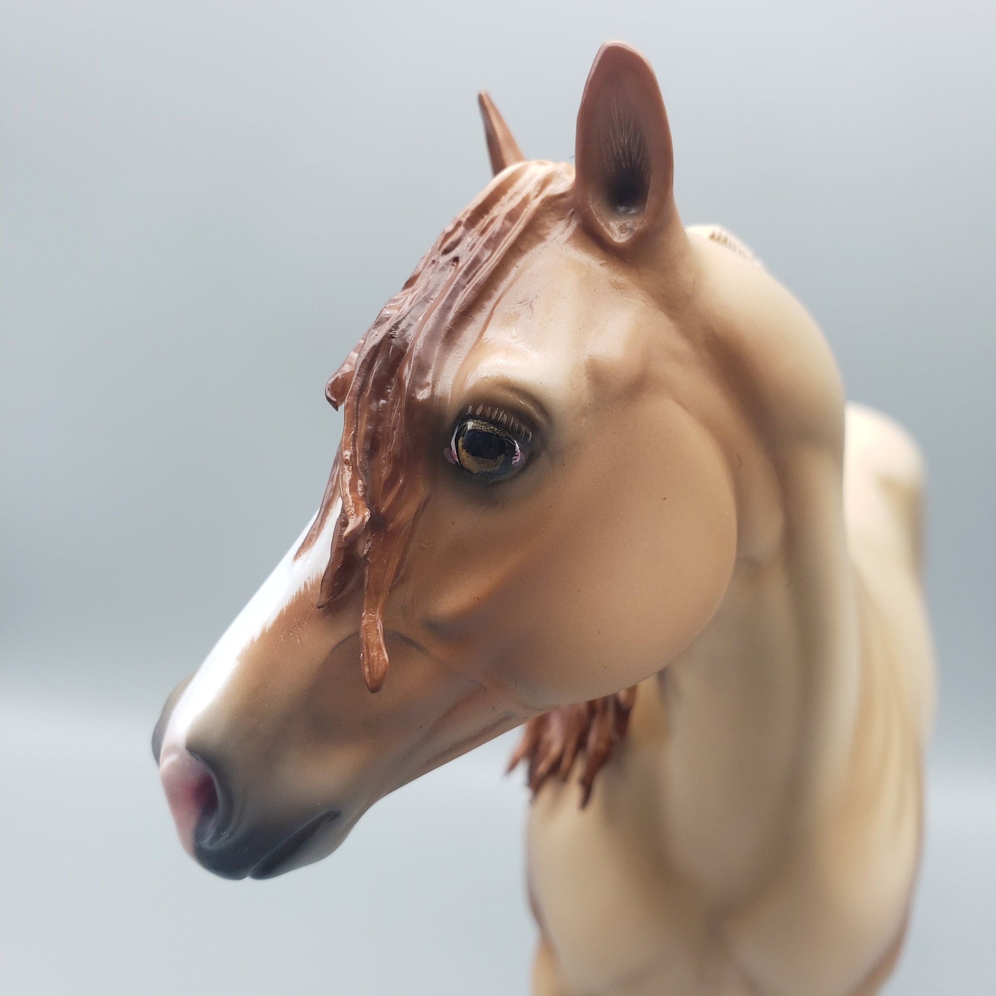 Can Do Carson OOAK Red Dun Overo Ideal Stock Horse By Ashley Palmer Best Offers 6/26/23