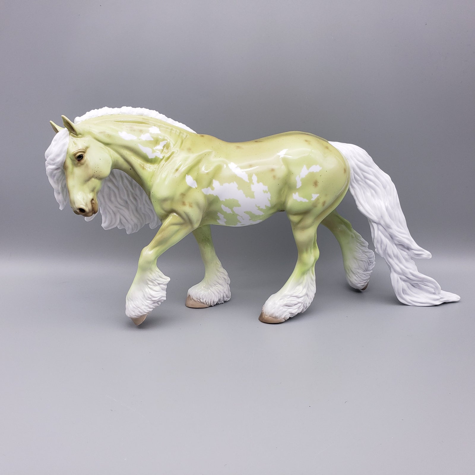 Callicostella Deco Cob Tshirt Giveaway Model By Ellen Robbins EQ23