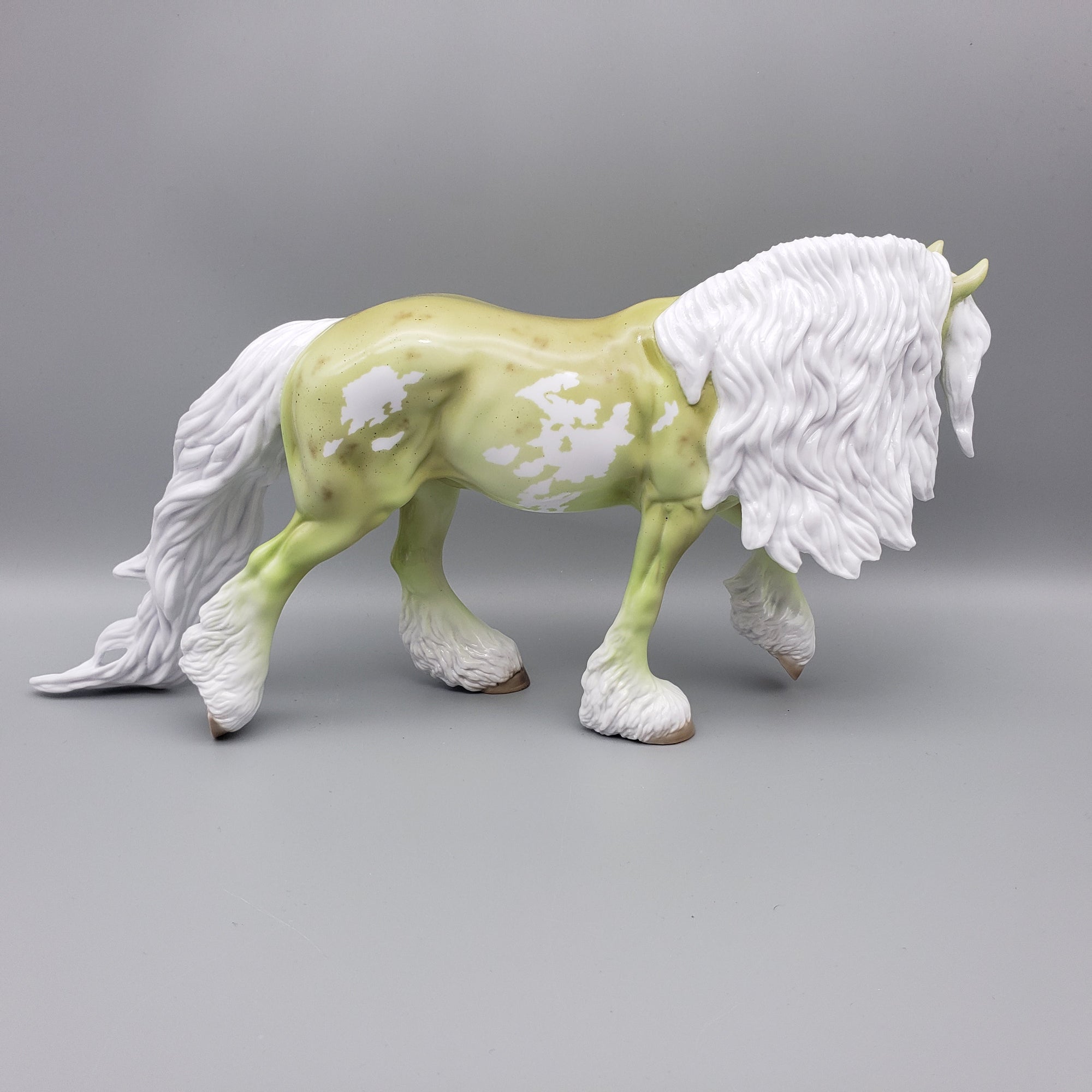 Callicostella Deco Cob Tshirt Giveaway Model By Ellen Robbins EQ23