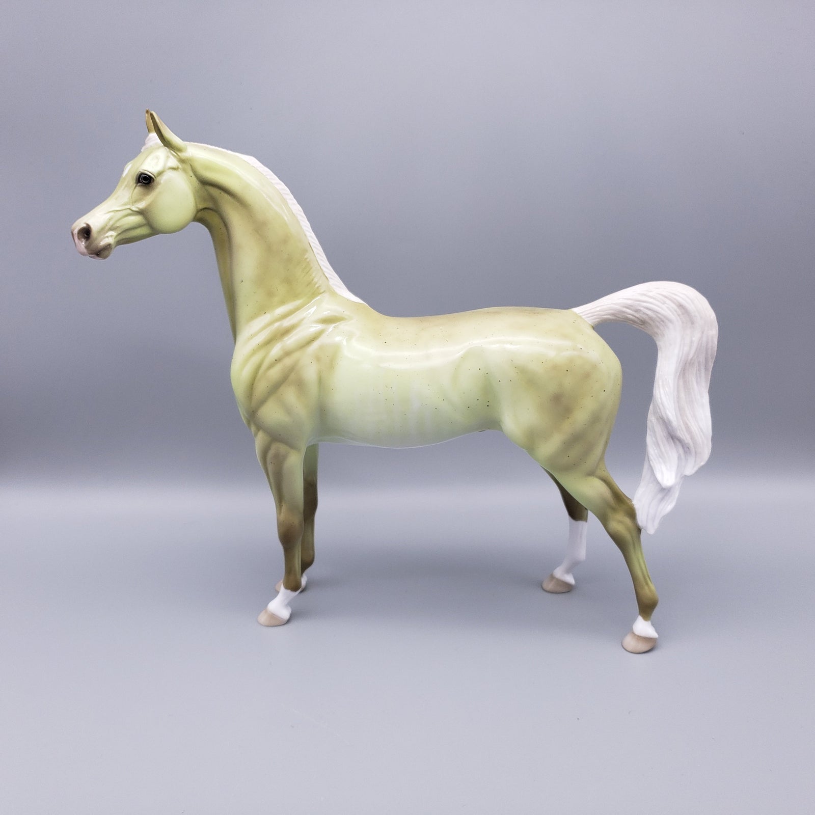 Ptilium Deco Arab Stallion T-shirt Giveaway Model By Ellen Robbins EQ23