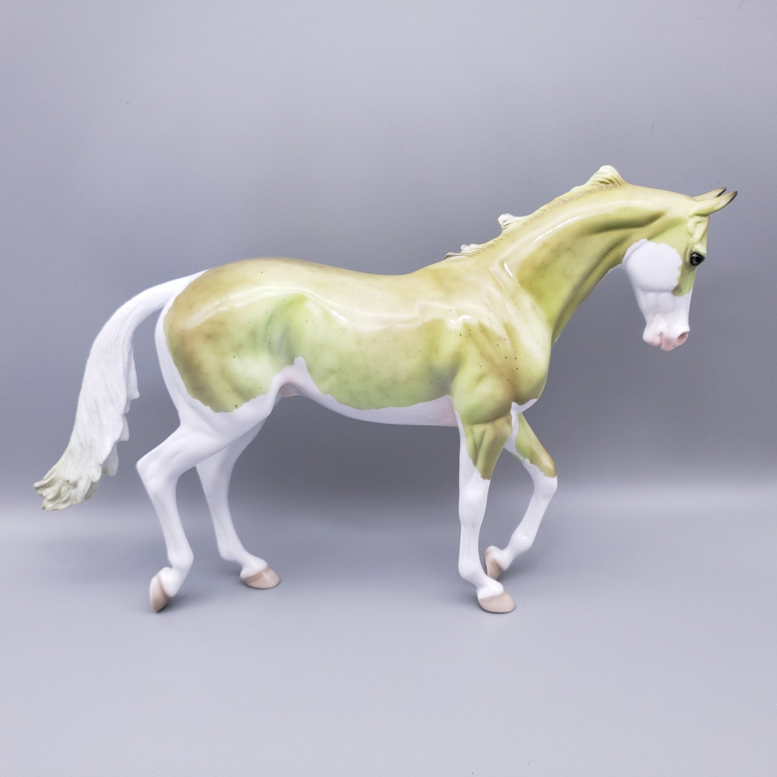 Takokia Deco Thoroughbred T-shirt Giveaway Model By Ellen Robbins EQ23