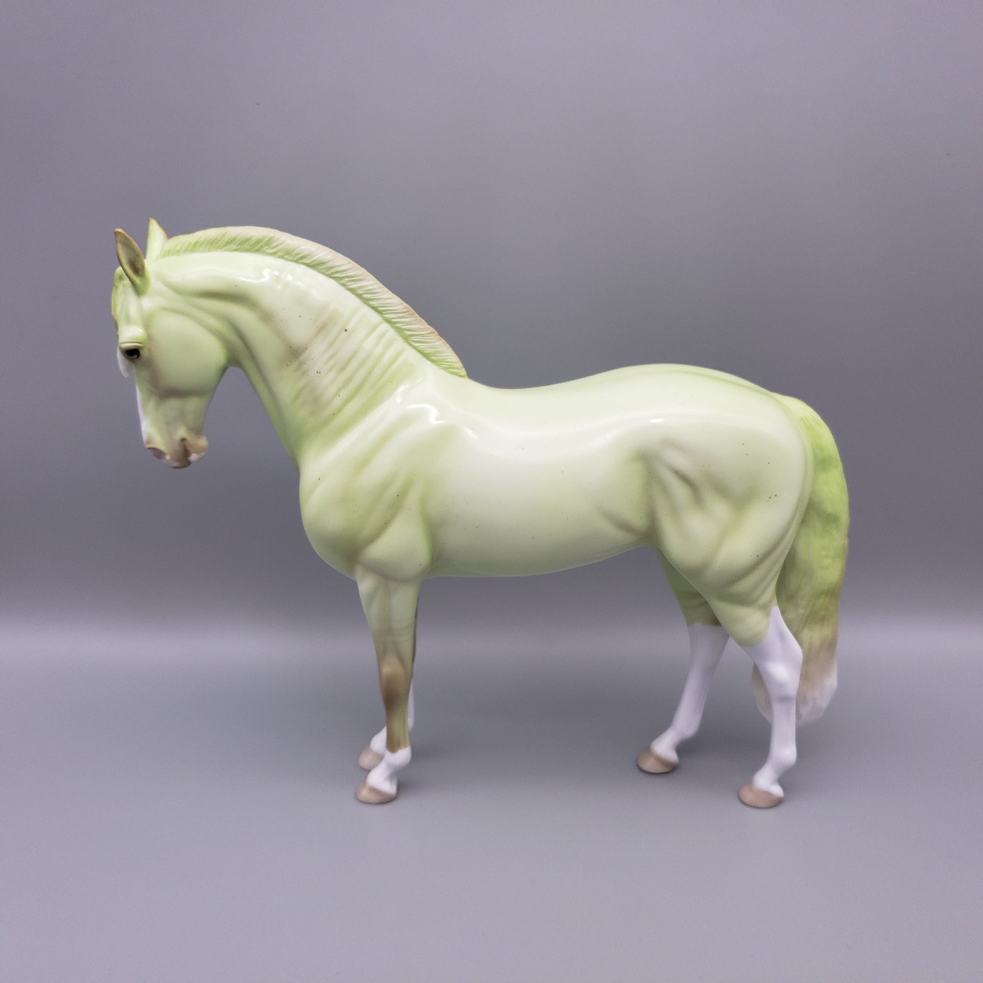 Thelia Deco Andalusian T-shirt Giveaway Model By Ellen Robbins EQ23