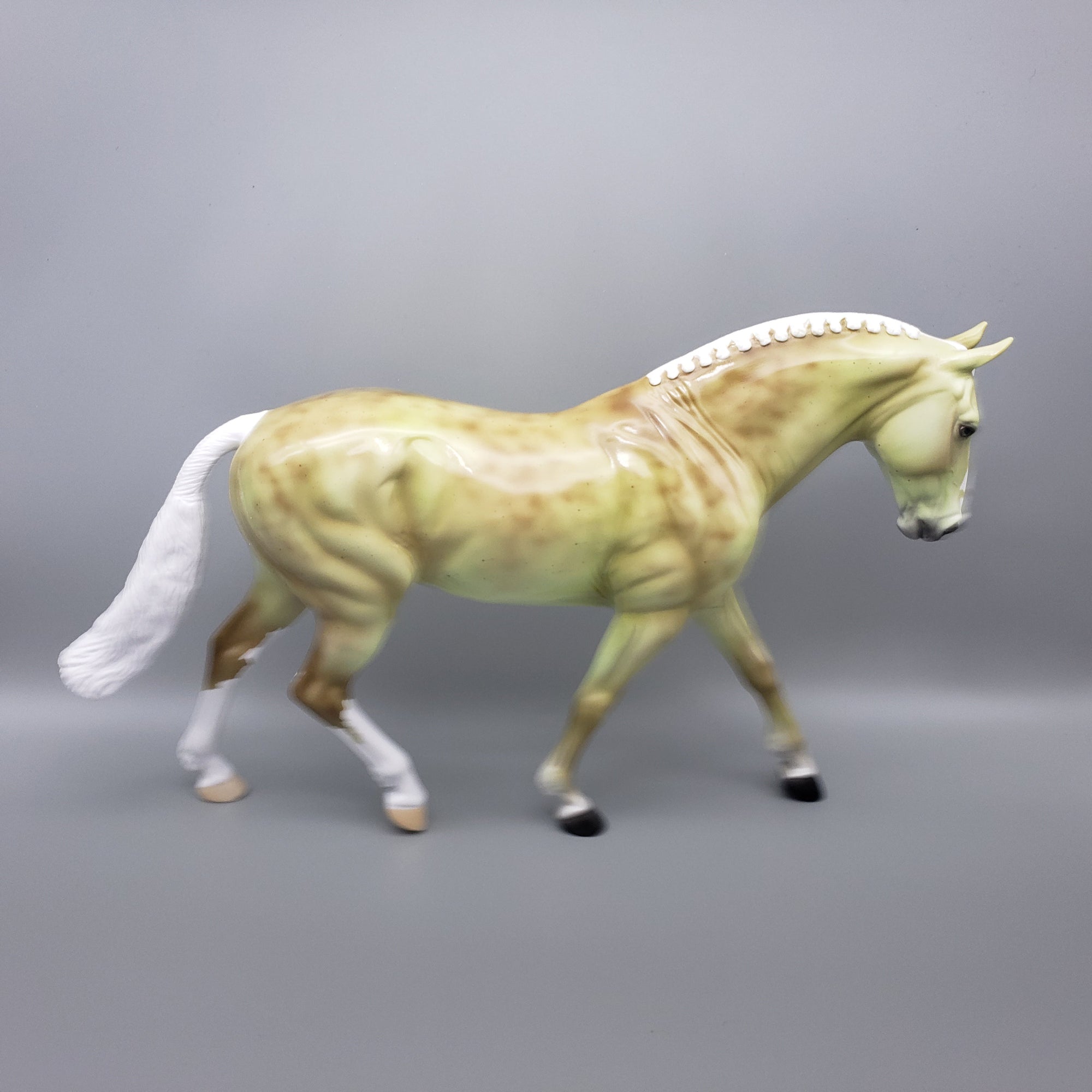 Leucobyrum Deco Irish Draft T-shirt Giveaway Model By Ellen Robbins EQ23