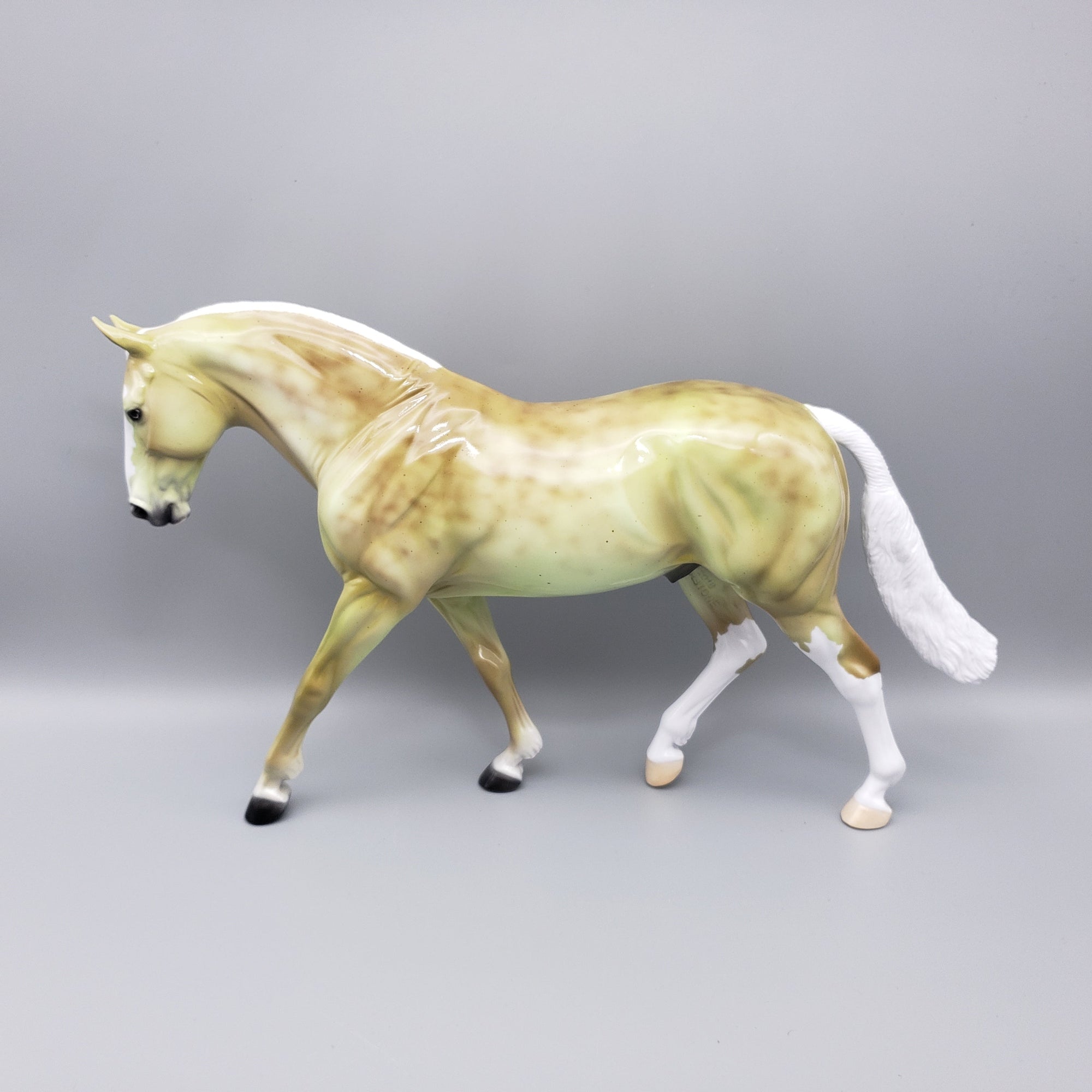 Leucobyrum Deco Irish Draft T-shirt Giveaway Model By Ellen Robbins EQ23