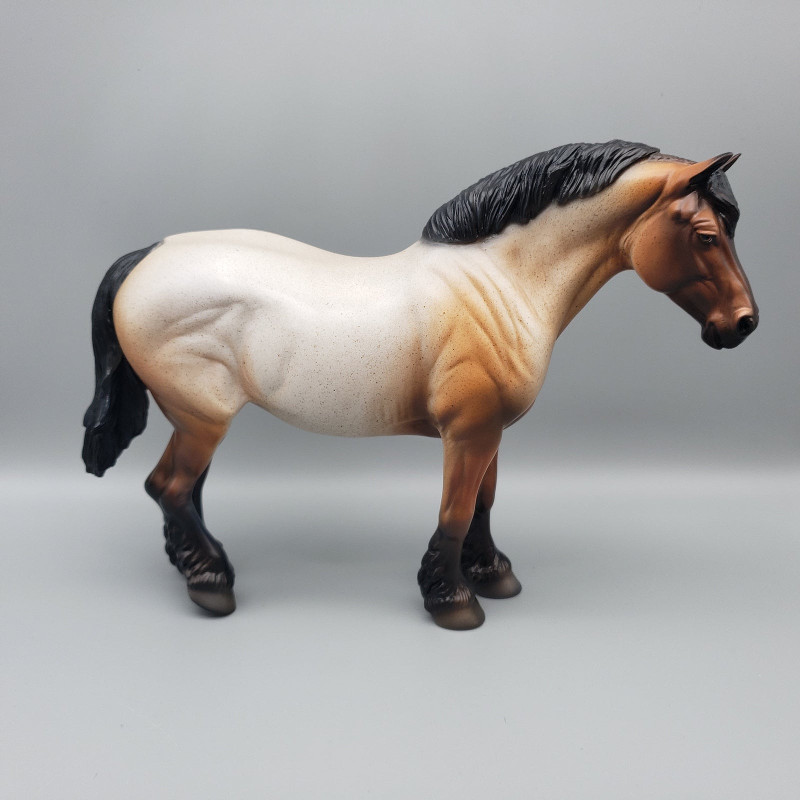 Sora OOAK Bay Roan Heavy Draft By Dawn Quick EQ23