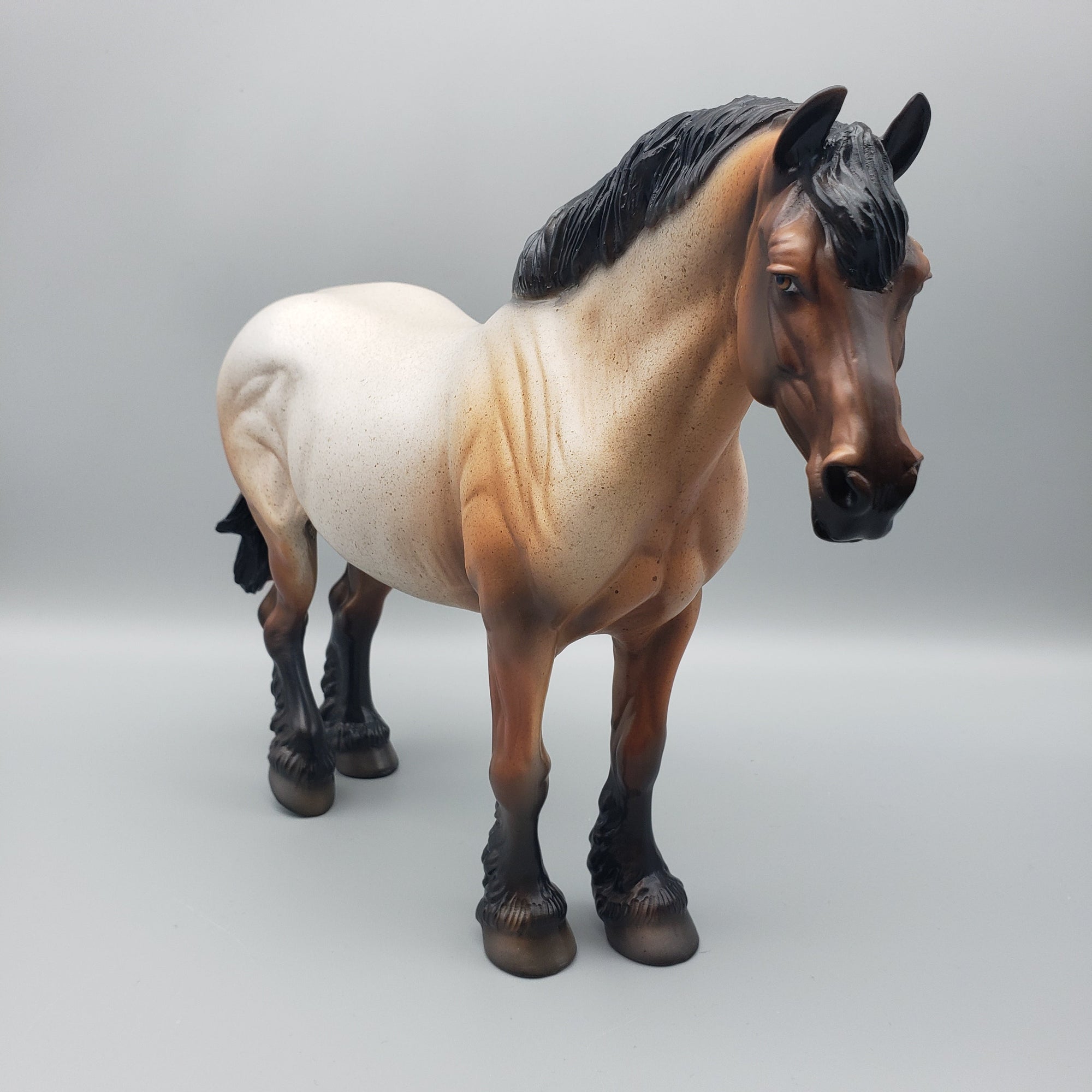 Sora OOAK Bay Roan Heavy Draft By Dawn Quick EQ23