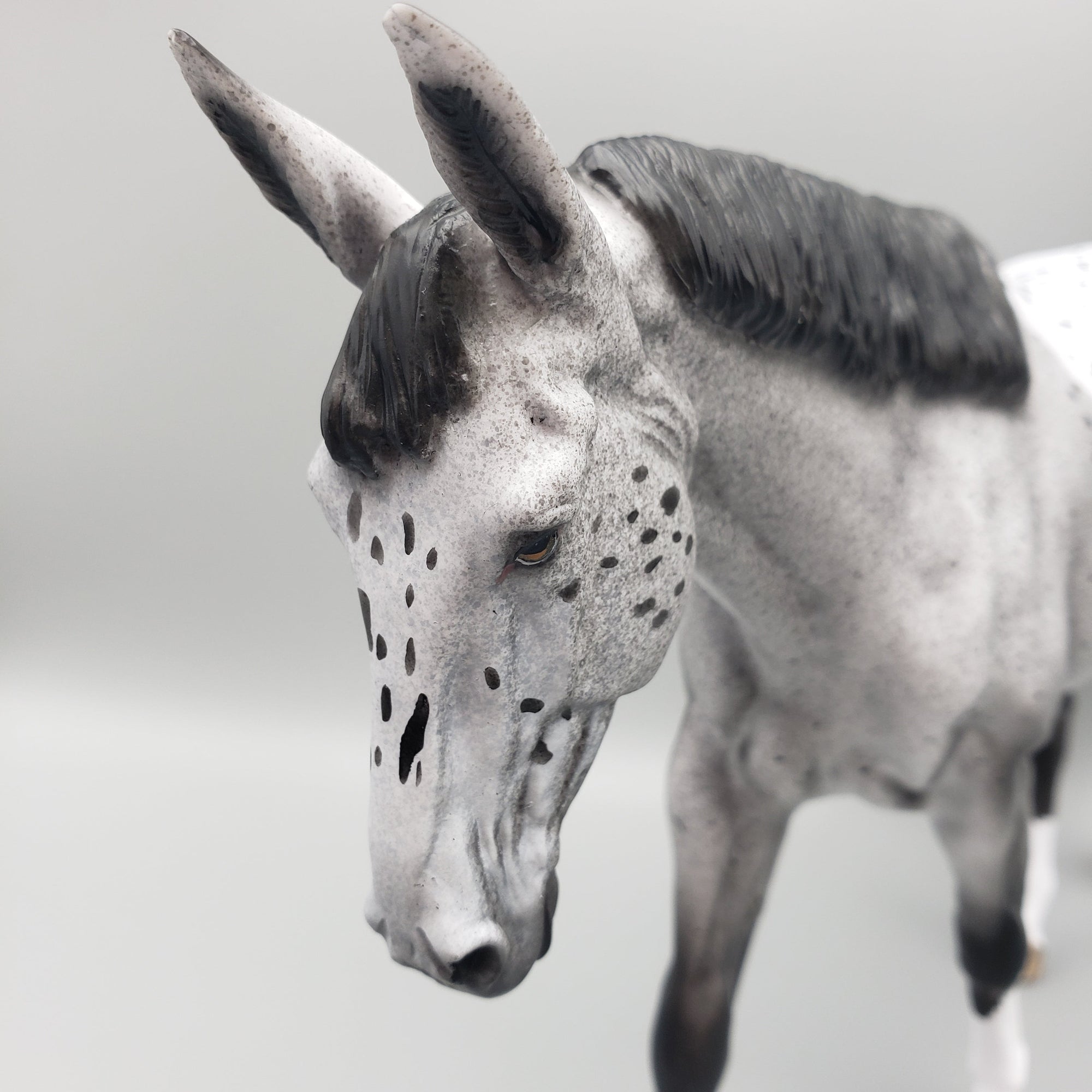 Luna OOAK Appaloosa Mule By Dawn Quick EQ23