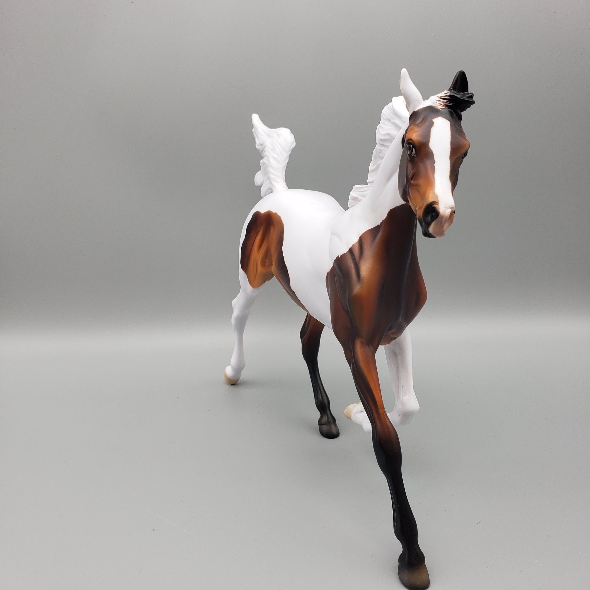 Sophia OOAK Bay Splash Yearling By Dawn Quick EQ23