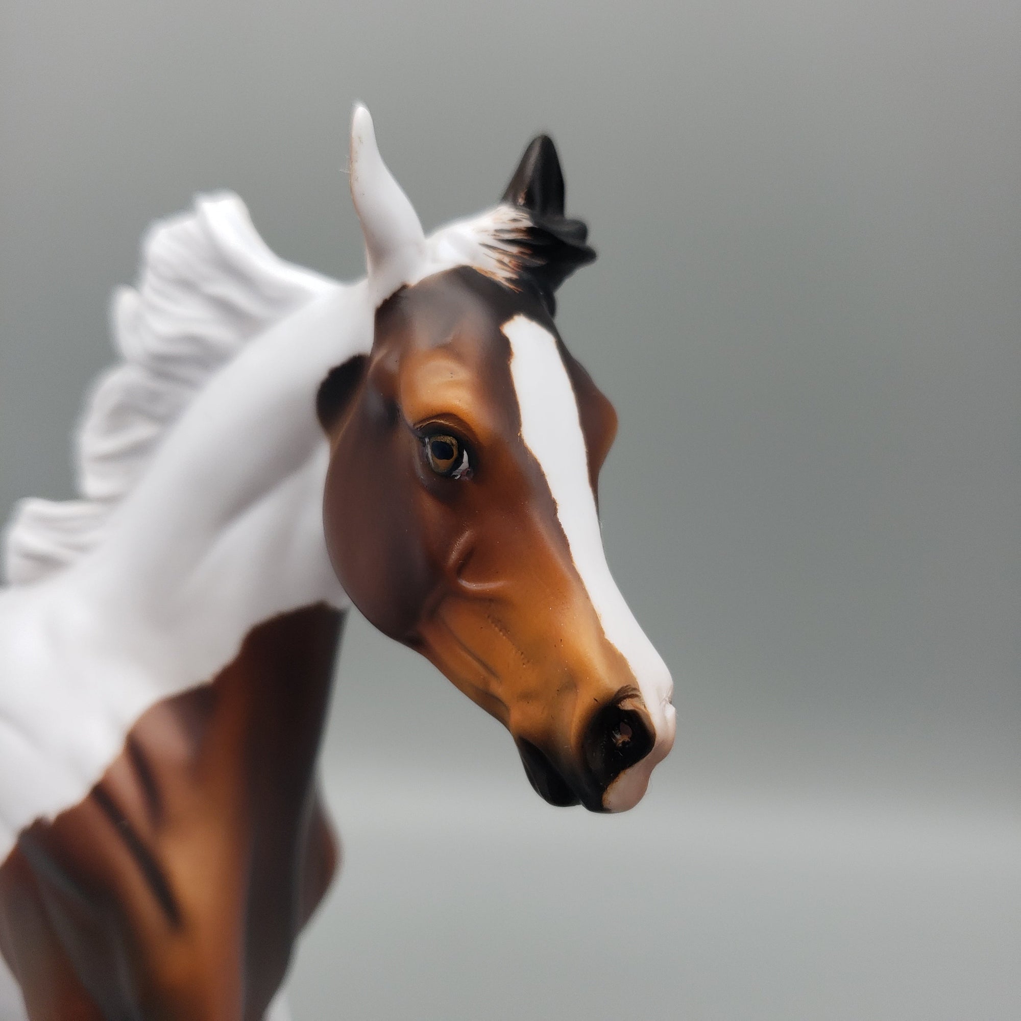 Sophia OOAK Bay Splash Yearling By Dawn Quick EQ23