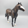 Chico OOAK Bay Mustang By Dawn Quick EQ23