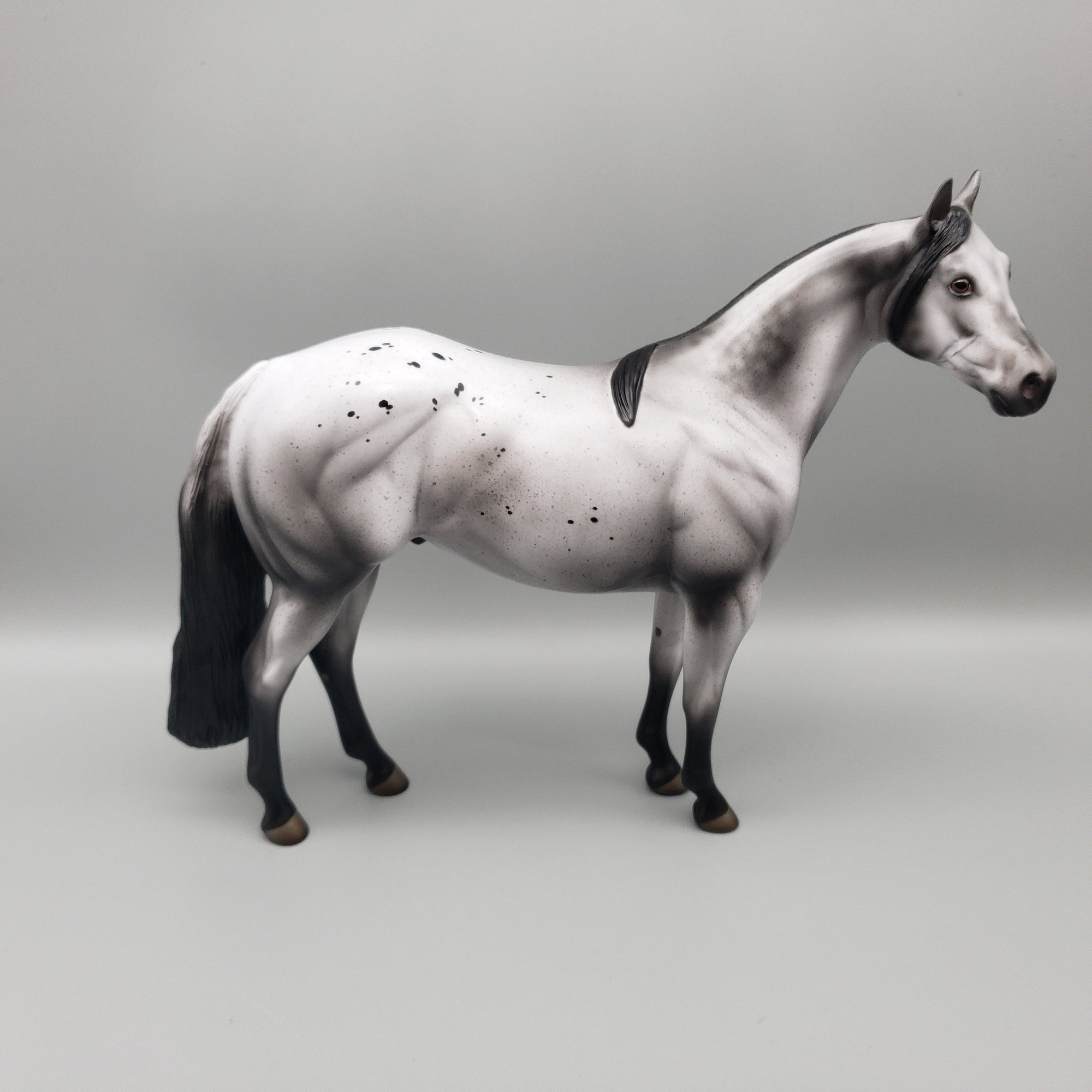 Marz OOAK Varnish Roan Appaloosa ISH By Jess Hamill EQ23