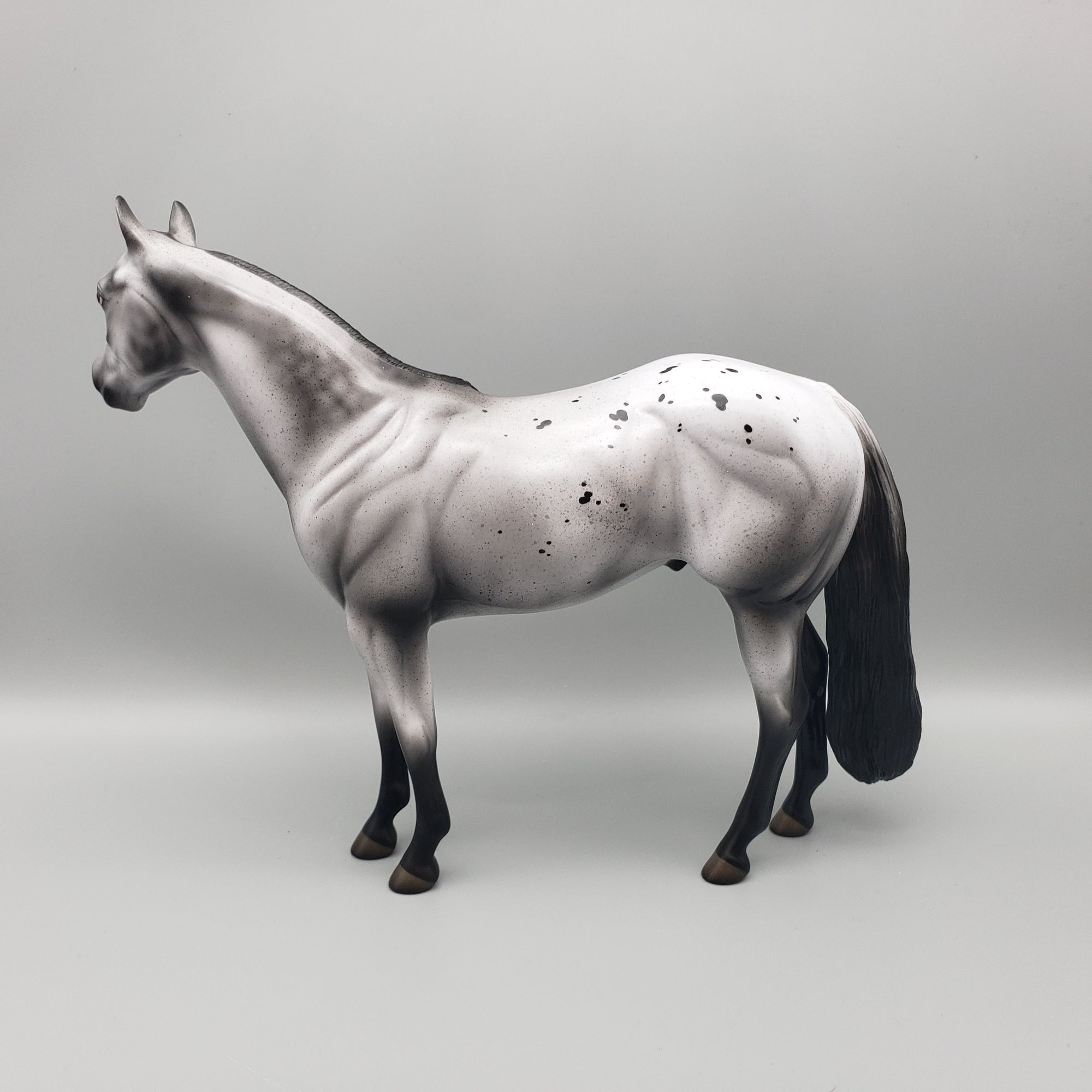 Marz OOAK Varnish Roan Appaloosa ISH By Jess Hamill EQ23
