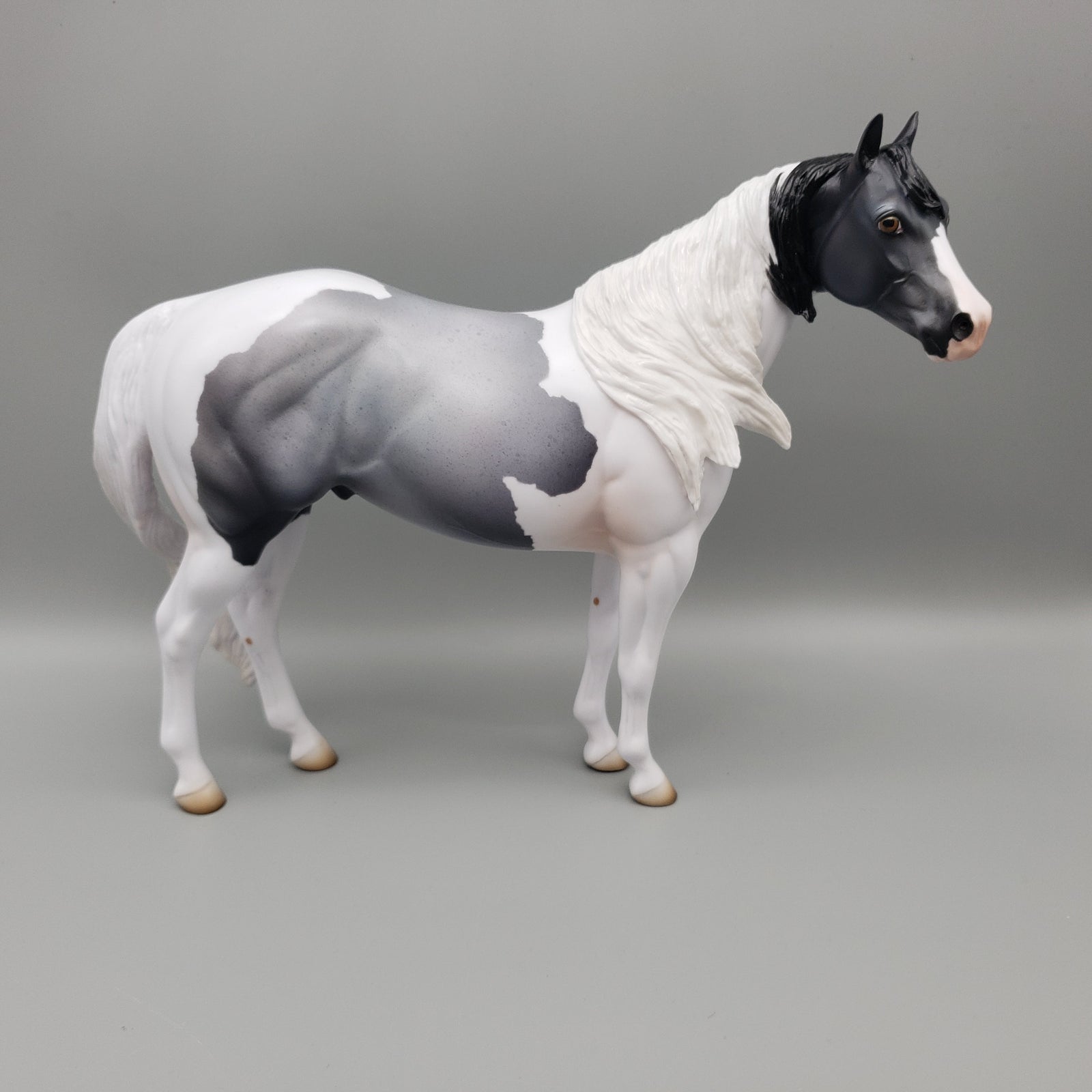 Maiko OOAK Blue Roan ISH By Jess Hamill EQ23