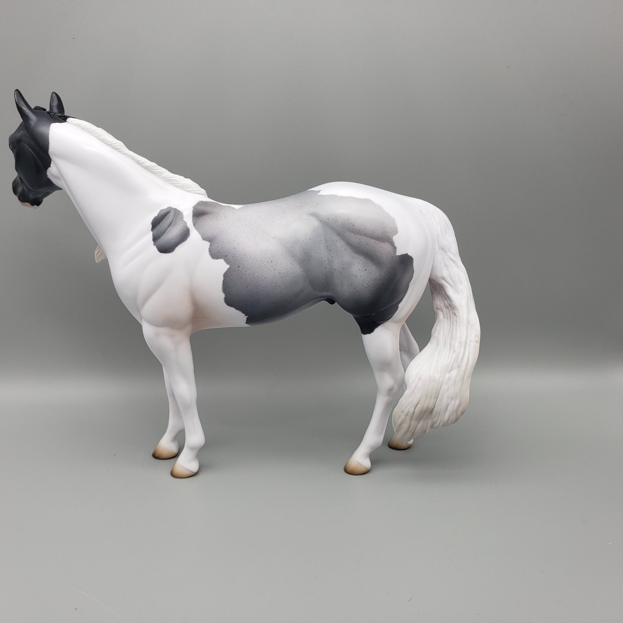 Maiko OOAK Blue Roan ISH By Jess Hamill EQ23