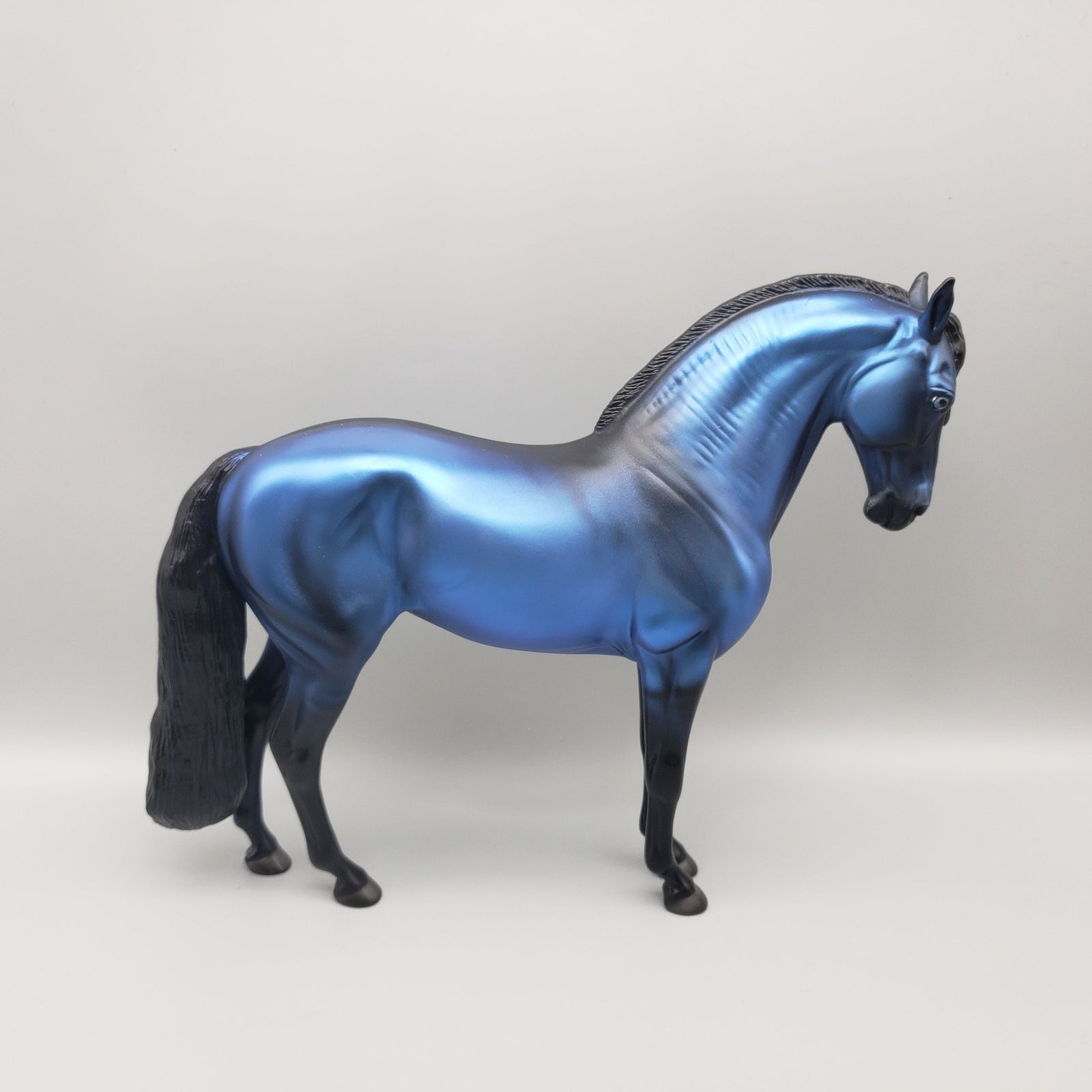 Sapphire OOAK Blue Andalusian By Angela Marleau EQ23