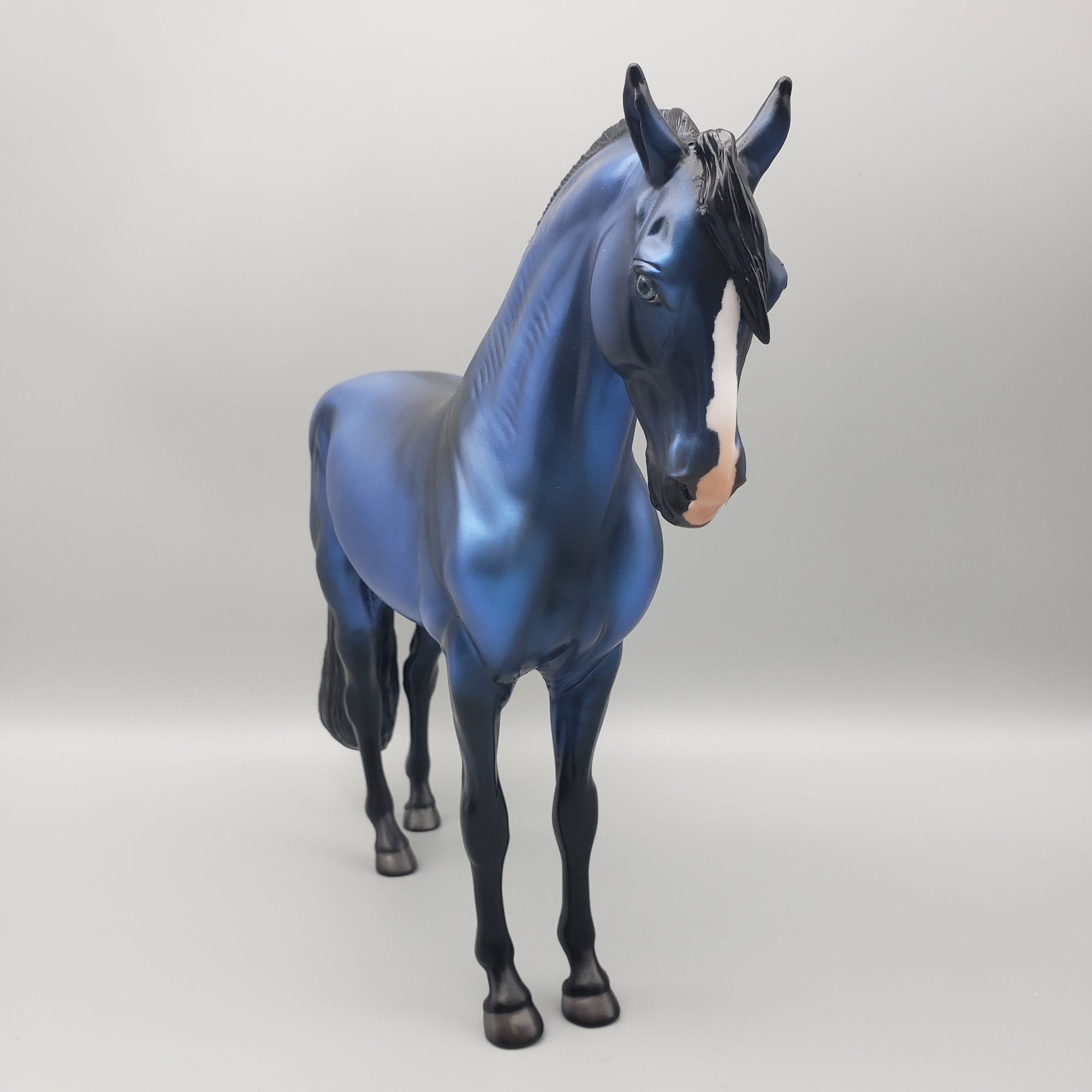 Sapphire OOAK Blue Andalusian By Angela Marleau EQ23