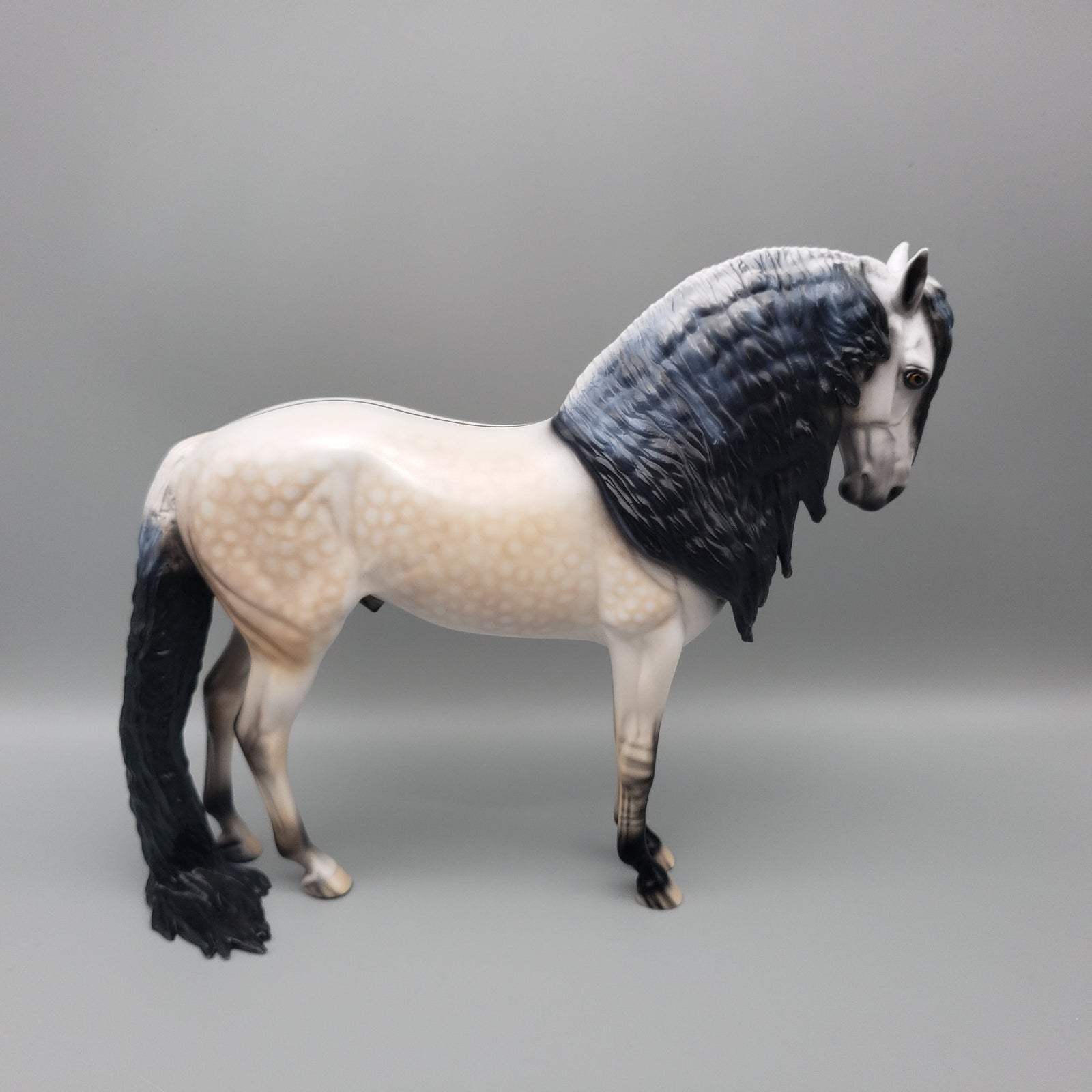 Gucci OOAK Dun Going Grey Andalusian By Dawn Quick EQ23